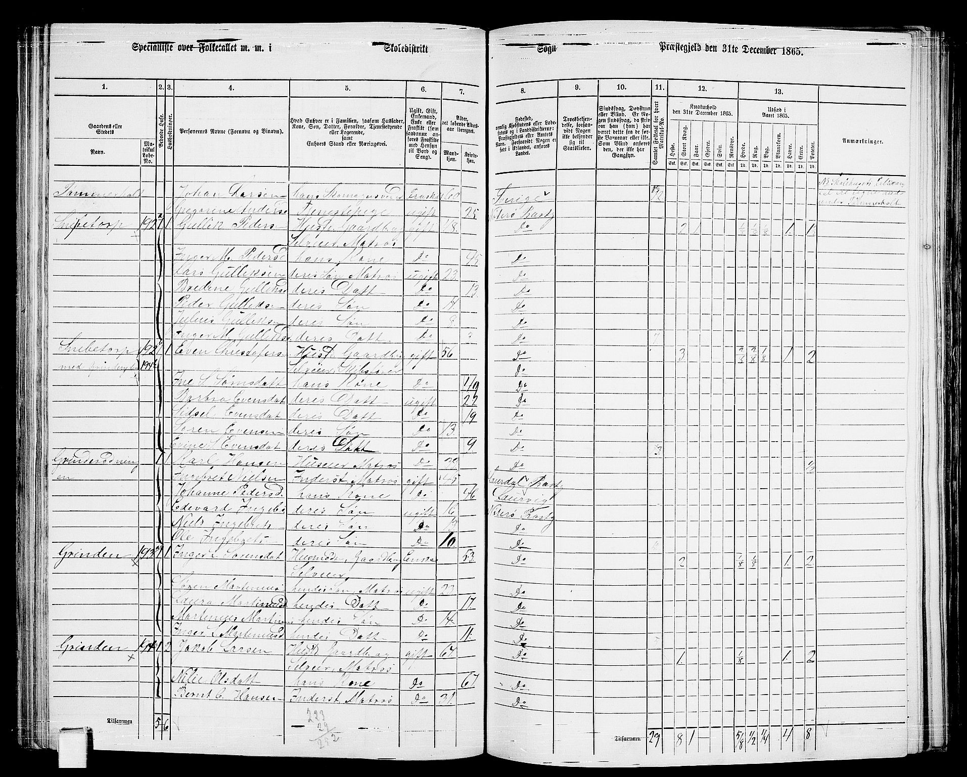 RA, 1865 census for Nøtterøy, 1865, p. 163