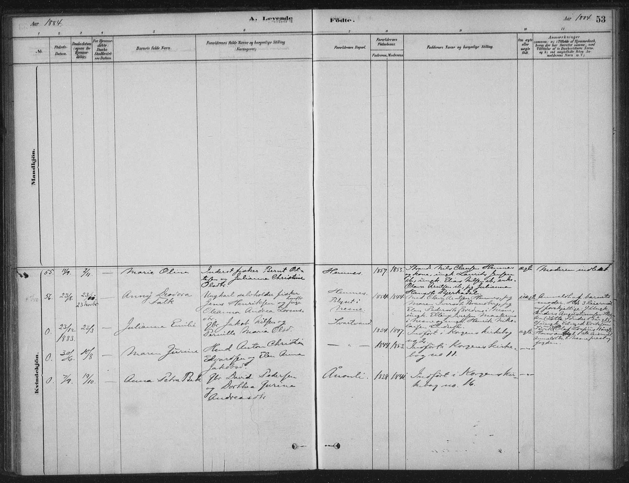 Ministerialprotokoller, klokkerbøker og fødselsregistre - Nordland, AV/SAT-A-1459/825/L0361: Parish register (official) no. 825A15, 1878-1893, p. 53