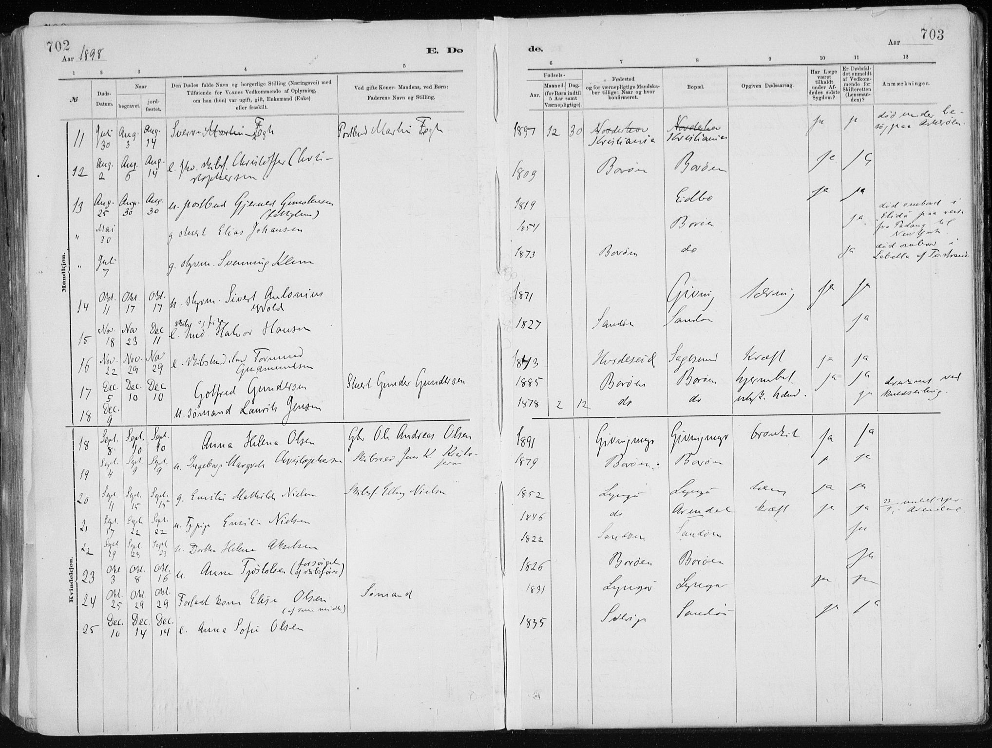 Dypvåg sokneprestkontor, AV/SAK-1111-0007/F/Fa/Faa/L0008: Parish register (official) no. A 8, 1885-1906, p. 702-703