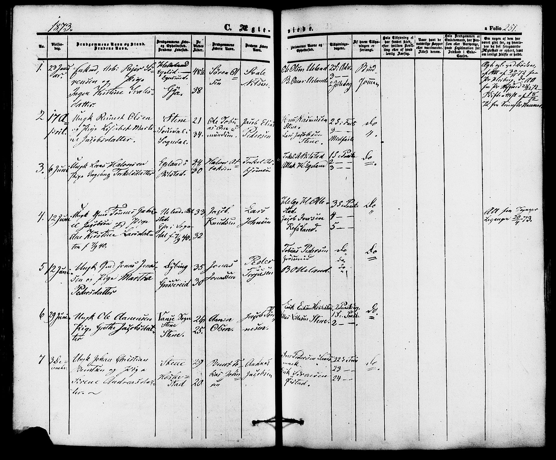 Lund sokneprestkontor, AV/SAST-A-101809/S06/L0010: Parish register (official) no. A 9, 1854-1886, p. 251