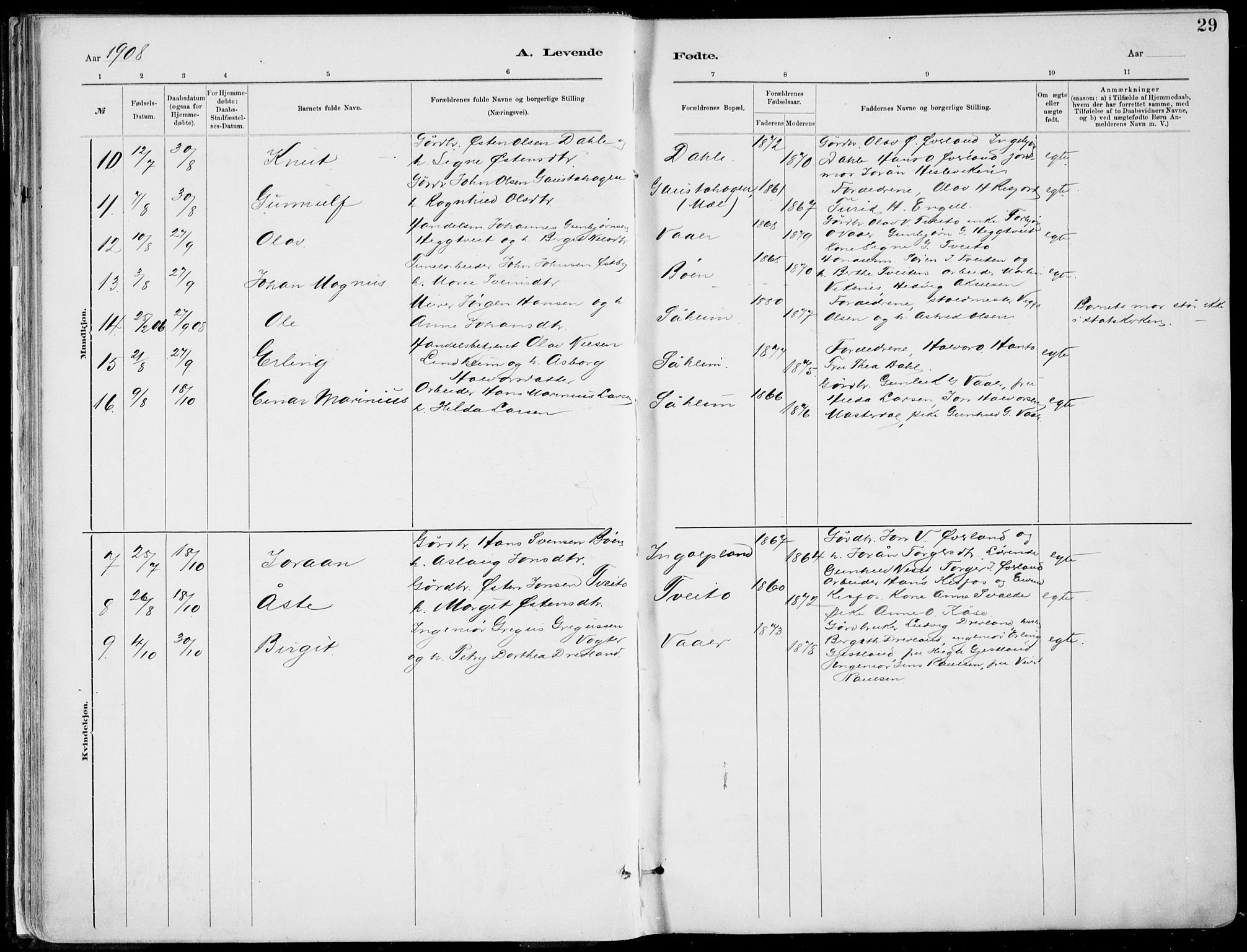Rjukan kirkebøker, SAKO/A-294/F/Fa/L0001: Parish register (official) no. 1, 1878-1912, p. 29