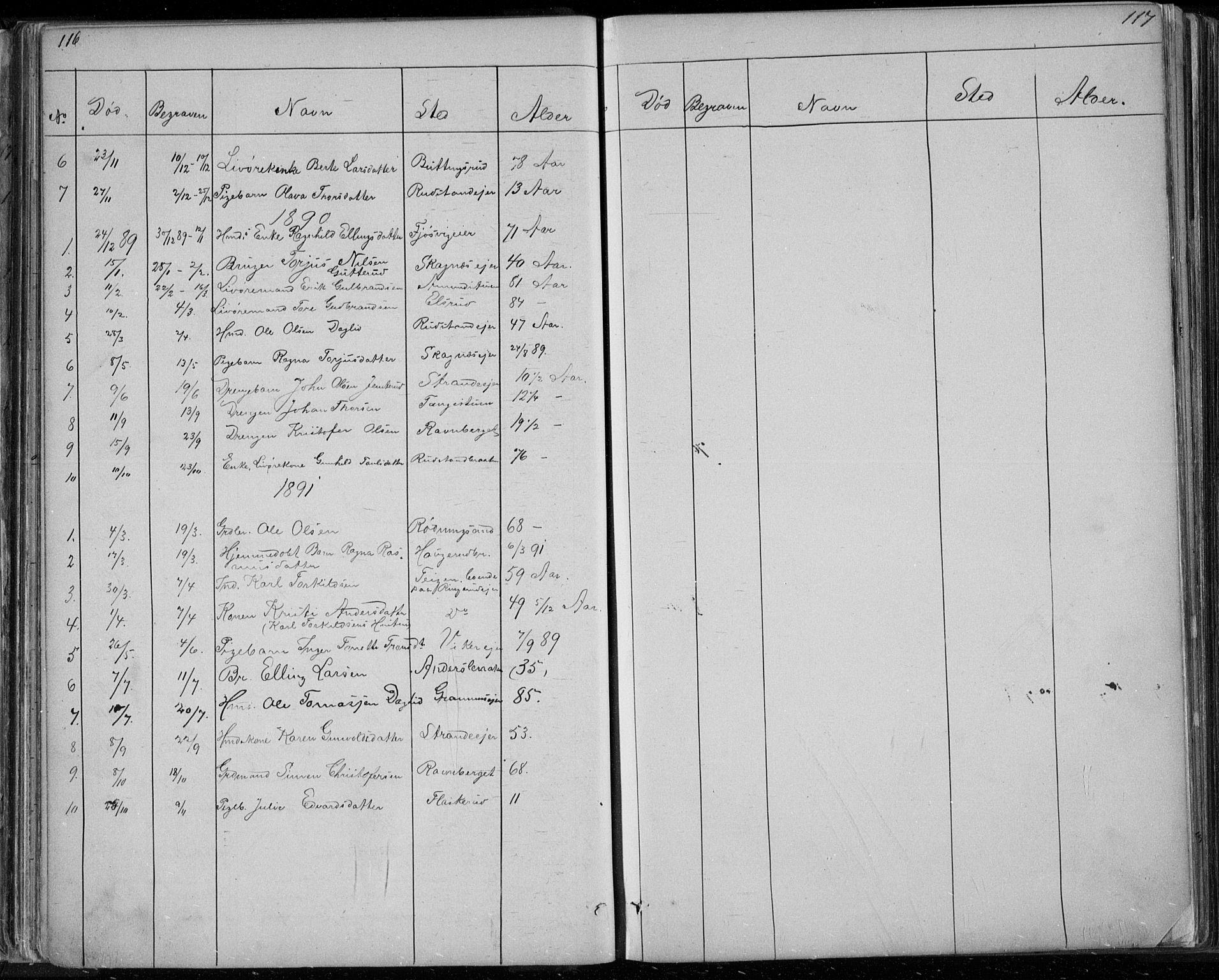 Ådal kirkebøker, AV/SAKO-A-248/G/Ga/L0003: Parish register (copy) no. I 3, 1862-1891, p. 116-117