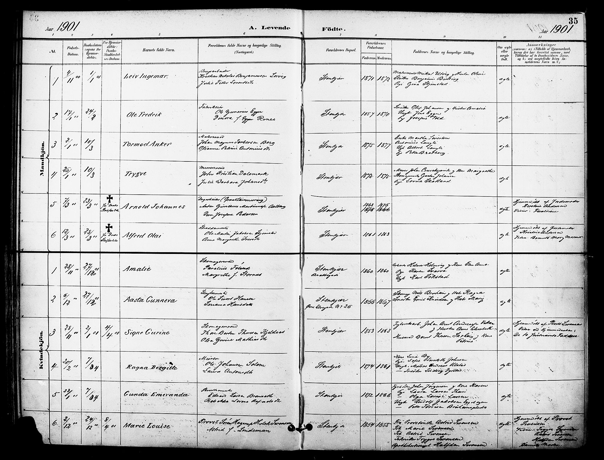 Ministerialprotokoller, klokkerbøker og fødselsregistre - Nord-Trøndelag, SAT/A-1458/739/L0372: Parish register (official) no. 739A04, 1895-1903, p. 35