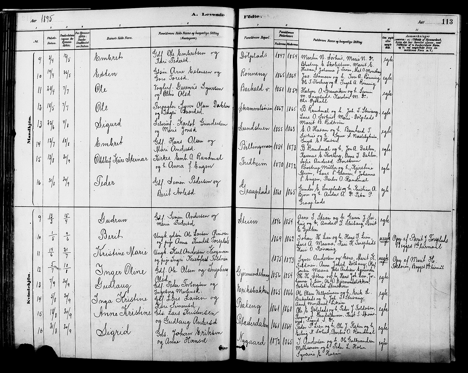 Alvdal prestekontor, AV/SAH-PREST-060/H/Ha/Hab/L0003: Parish register (copy) no. 3, 1878-1907, p. 113