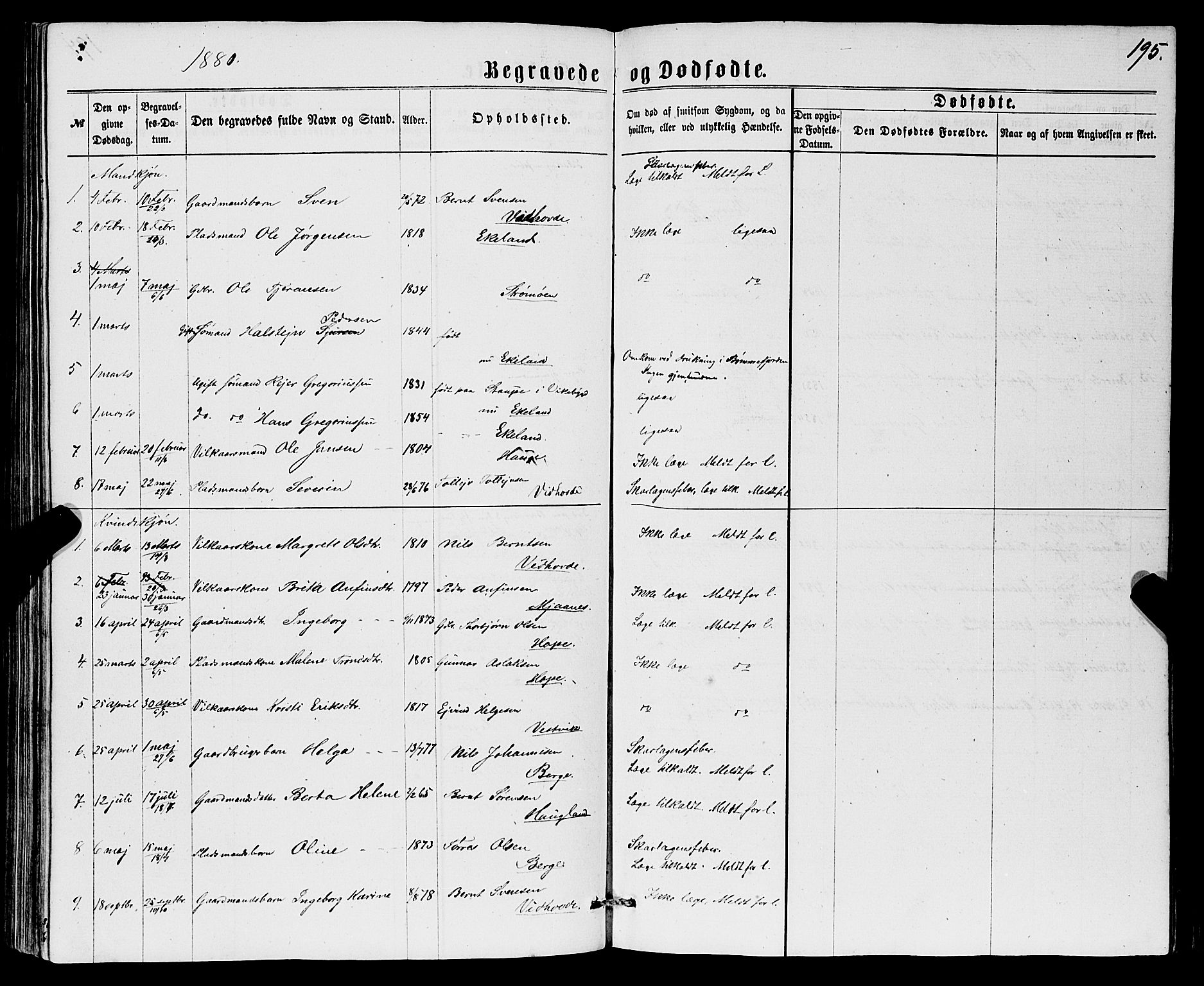 Sveio Sokneprestembete, AV/SAB-A-78501/H/Hab: Parish register (copy) no. B 1, 1864-1886, p. 195