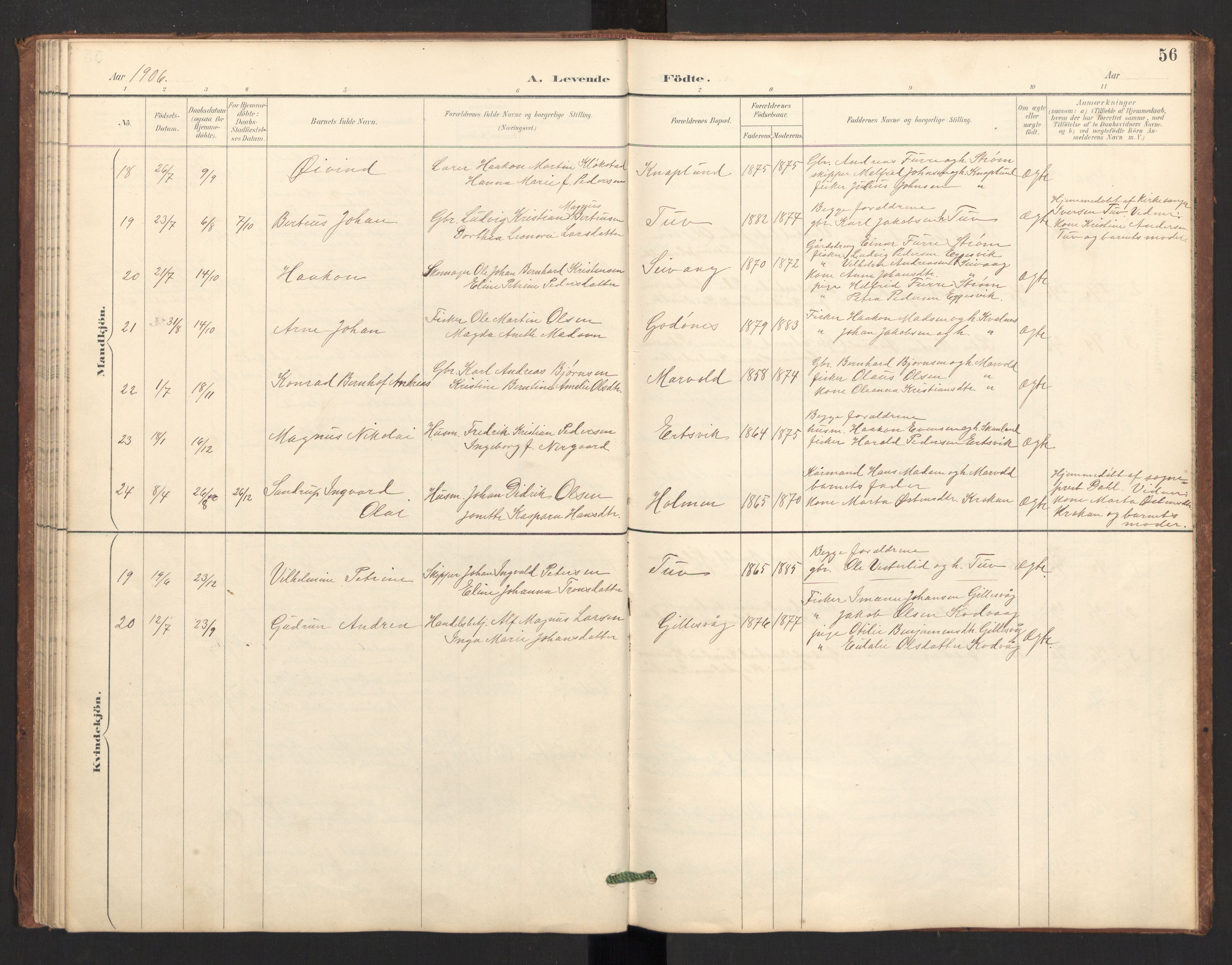 Ministerialprotokoller, klokkerbøker og fødselsregistre - Nordland, AV/SAT-A-1459/804/L0087: Parish register (official) no. 804A08, 1894-1907, p. 56