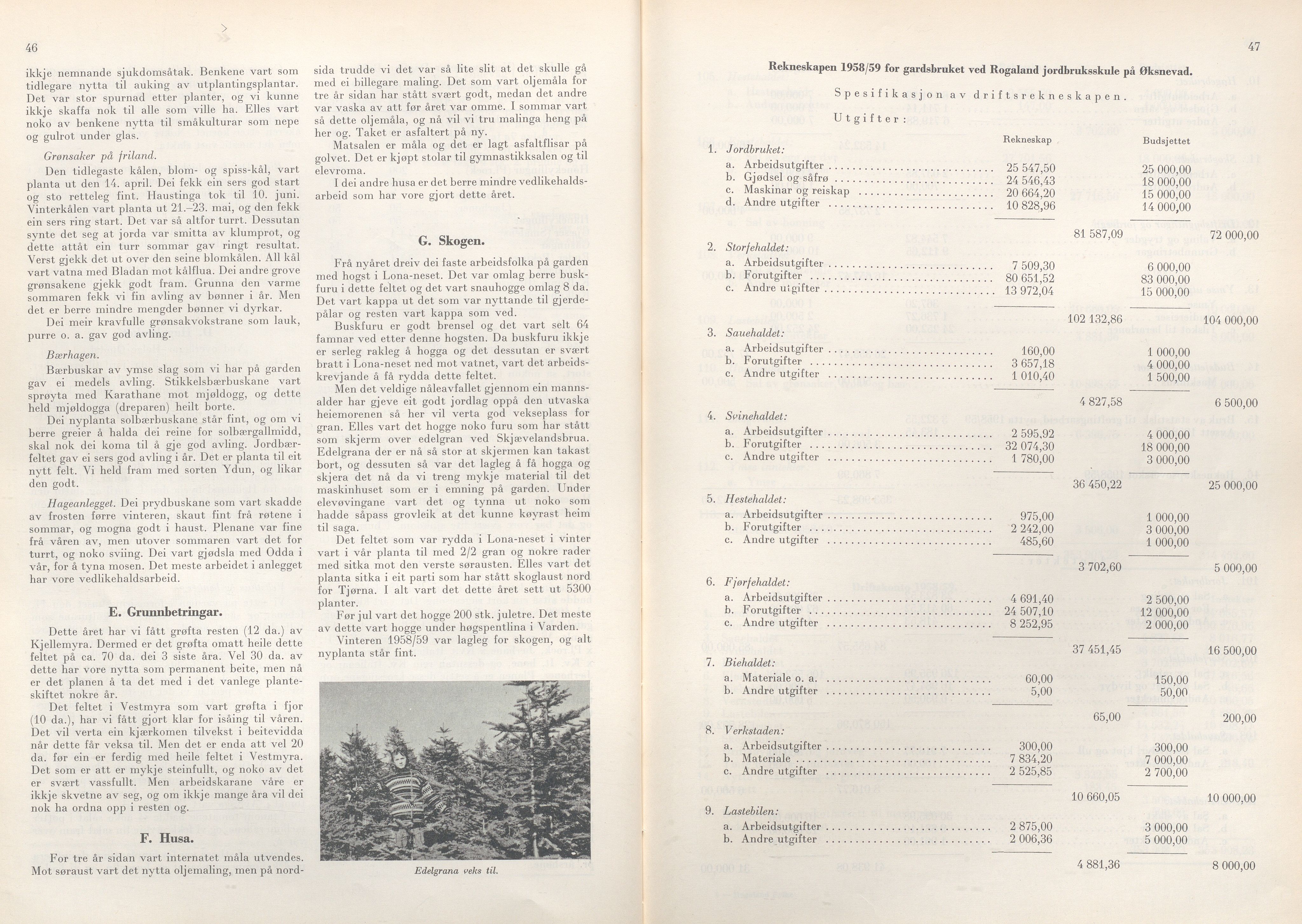 Rogaland fylkeskommune - Fylkesrådmannen , IKAR/A-900/A/Aa/Aaa/L0079: Møtebok , 1960, p. 46-47