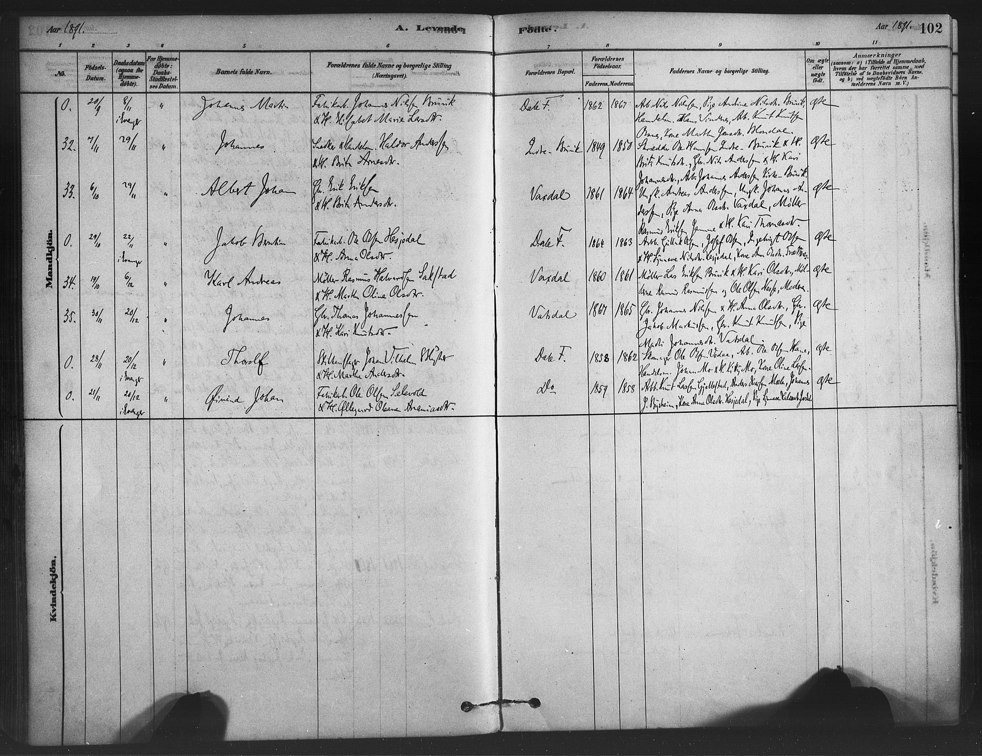 Bruvik Sokneprestembete, AV/SAB-A-74701/H/Haa: Parish register (official) no. B 1, 1878-1904, p. 102