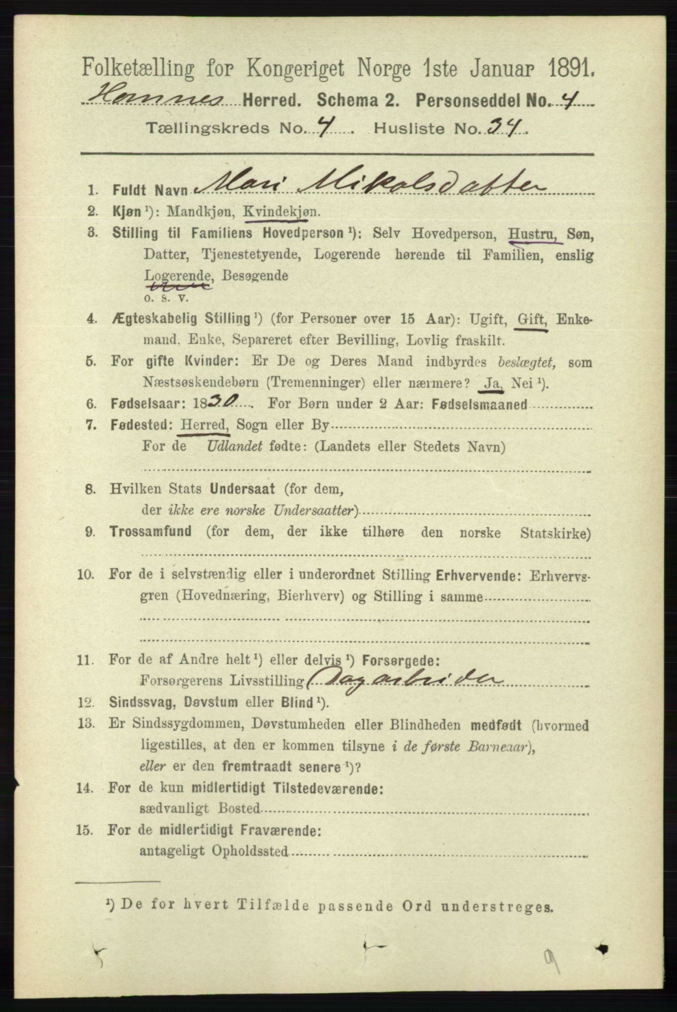 RA, 1891 census for 0936 Hornnes, 1891, p. 1317