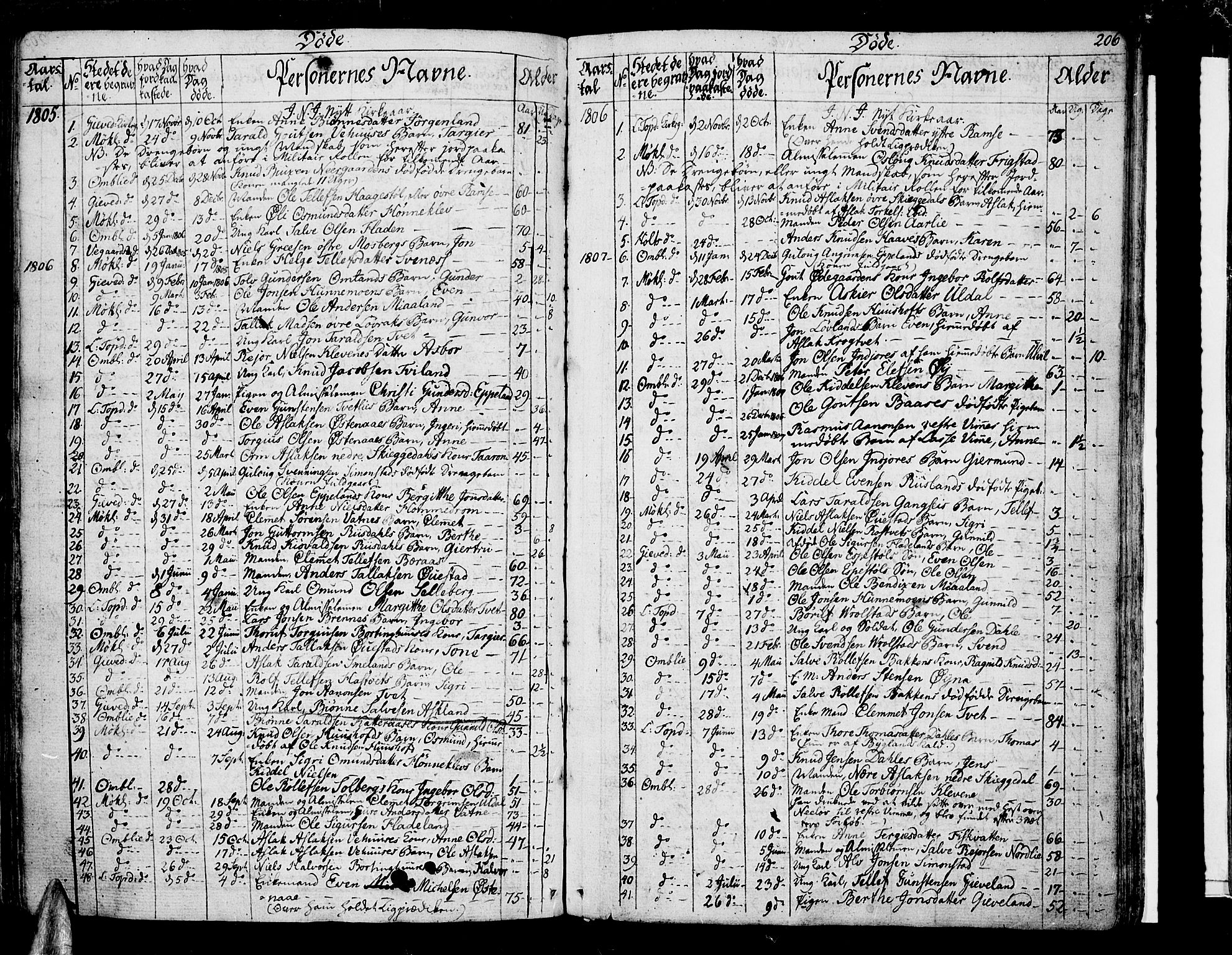 Åmli sokneprestkontor, SAK/1111-0050/F/Fa/Fac/L0005: Parish register (official) no. A 5, 1796-1816, p. 206