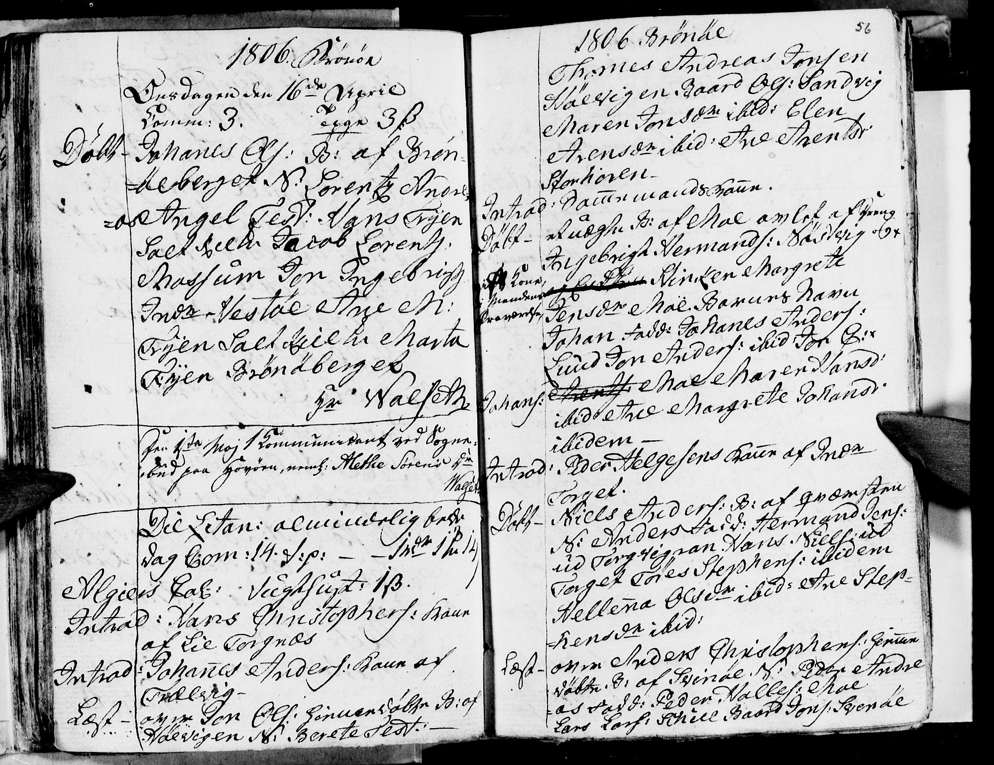 Ministerialprotokoller, klokkerbøker og fødselsregistre - Nordland, SAT/A-1459/813/L0209: Parish register (copy) no. 813C01, 1803-1821, p. 56