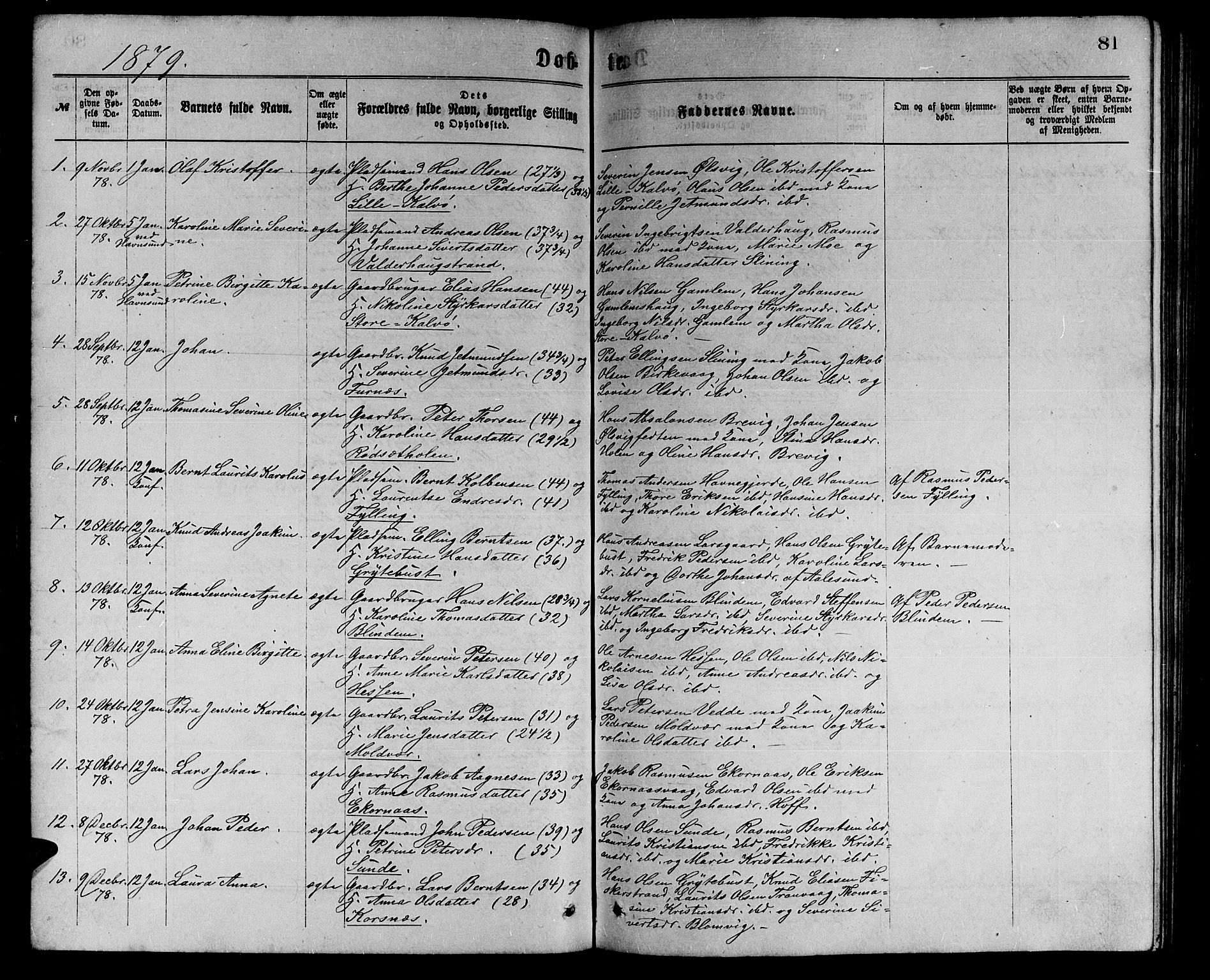 Ministerialprotokoller, klokkerbøker og fødselsregistre - Møre og Romsdal, AV/SAT-A-1454/528/L0429: Parish register (copy) no. 528C10, 1872-1886, p. 81