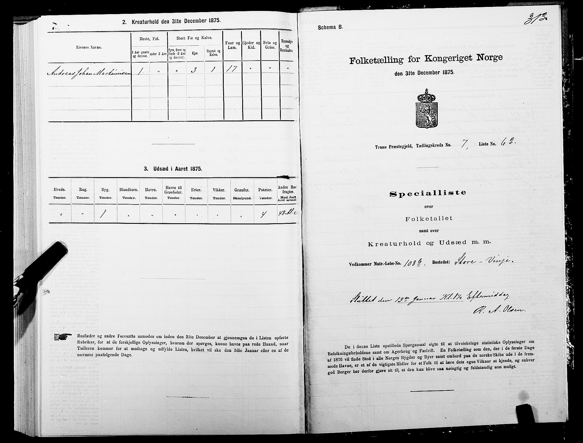 SATØ, 1875 census for 1927P Tranøy, 1875, p. 3313