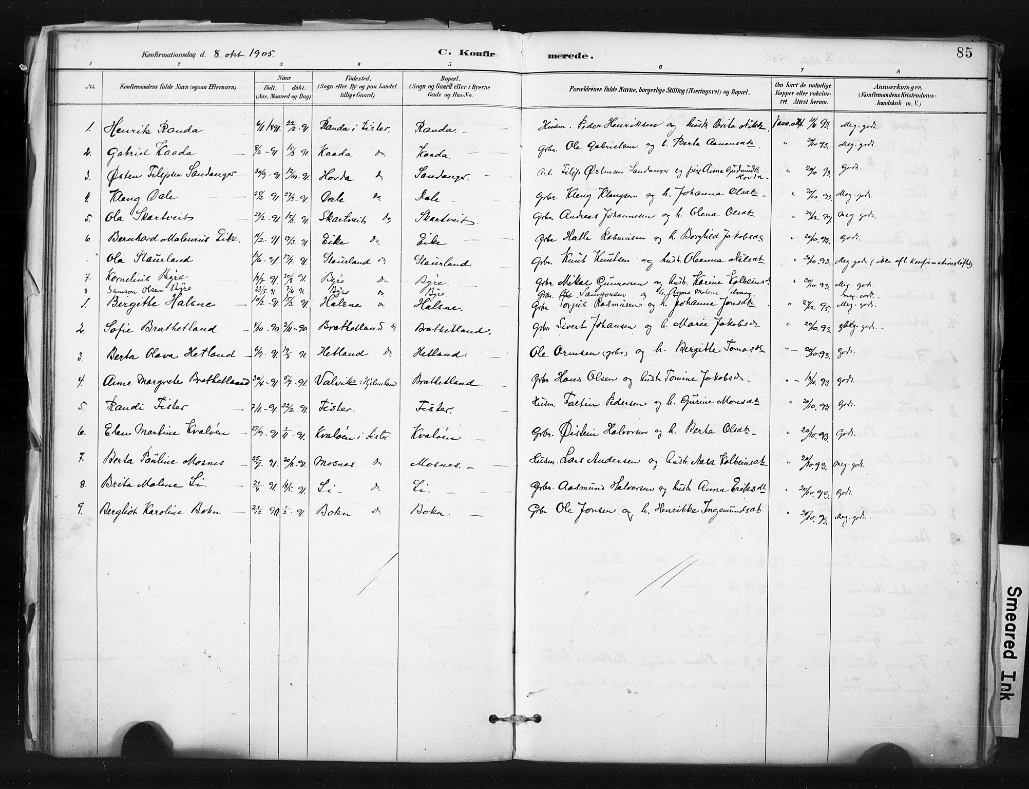 Hjelmeland sokneprestkontor, SAST/A-101843/01/IV/L0015: Parish register (official) no. A 15, 1887-1910, p. 85