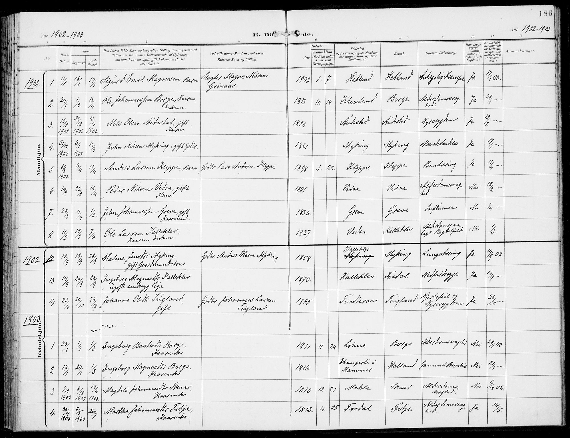 Haus sokneprestembete, AV/SAB-A-75601/H/Haa: Parish register (official) no. C  2, 1900-1915, p. 186