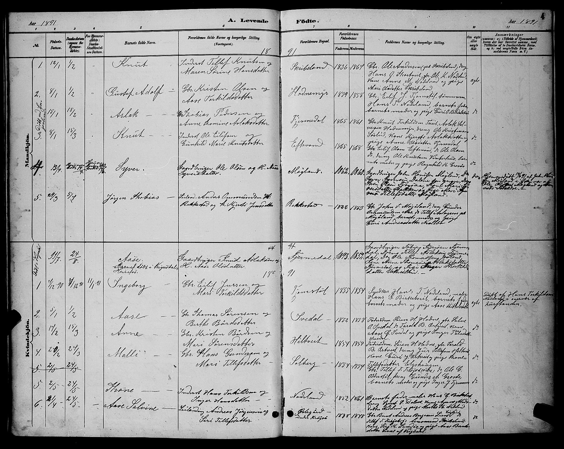 Evje sokneprestkontor, AV/SAK-1111-0008/F/Fb/Fbc/L0004: Parish register (copy) no. B 4, 1890-1900, p. 4