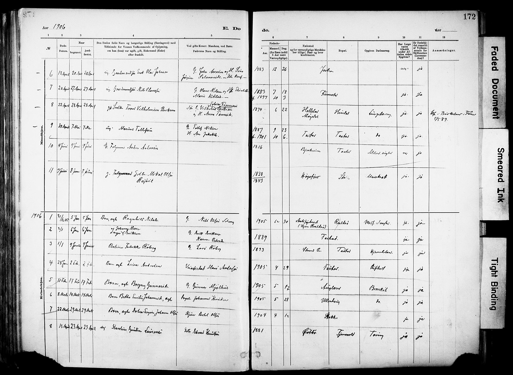 Hetland sokneprestkontor, SAST/A-101826/30/30BA/L0012: Parish register (official) no. A 12, 1882-1912, p. 172