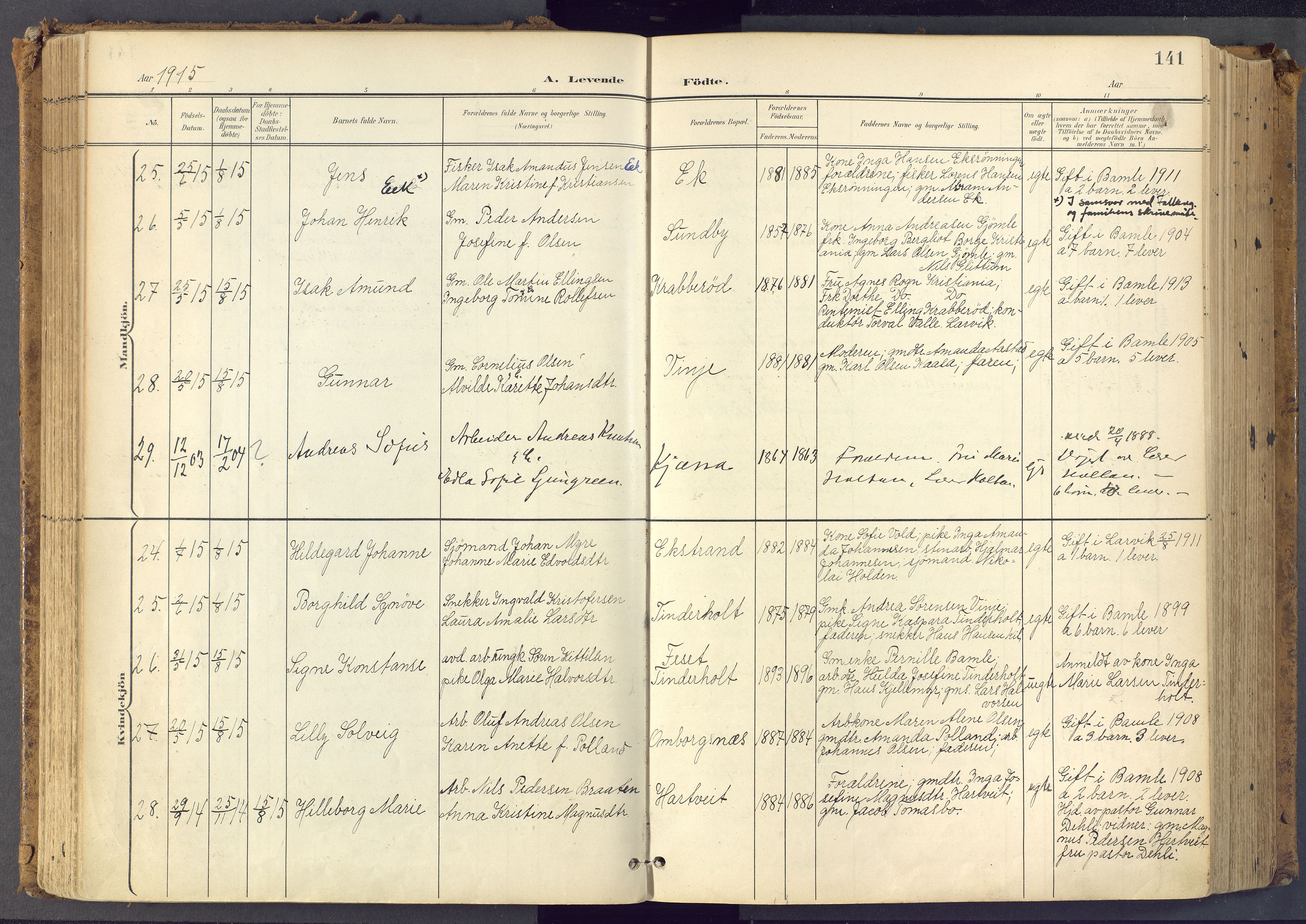 Bamble kirkebøker, AV/SAKO-A-253/F/Fa/L0009: Parish register (official) no. I 9, 1901-1917, p. 141