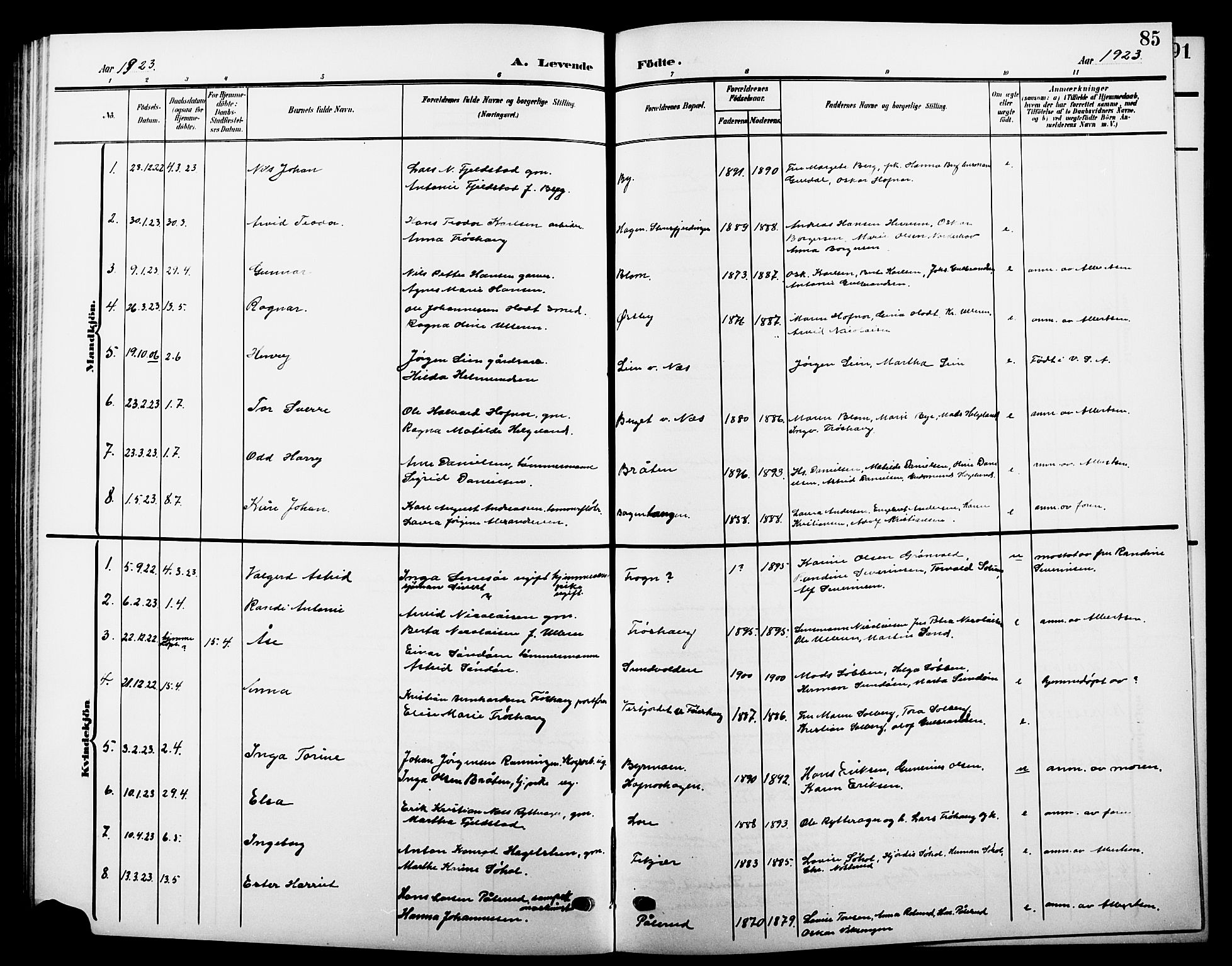 Hole kirkebøker, SAKO/A-228/G/Ga/L0004: Parish register (copy) no. I 4, 1905-1924, p. 85