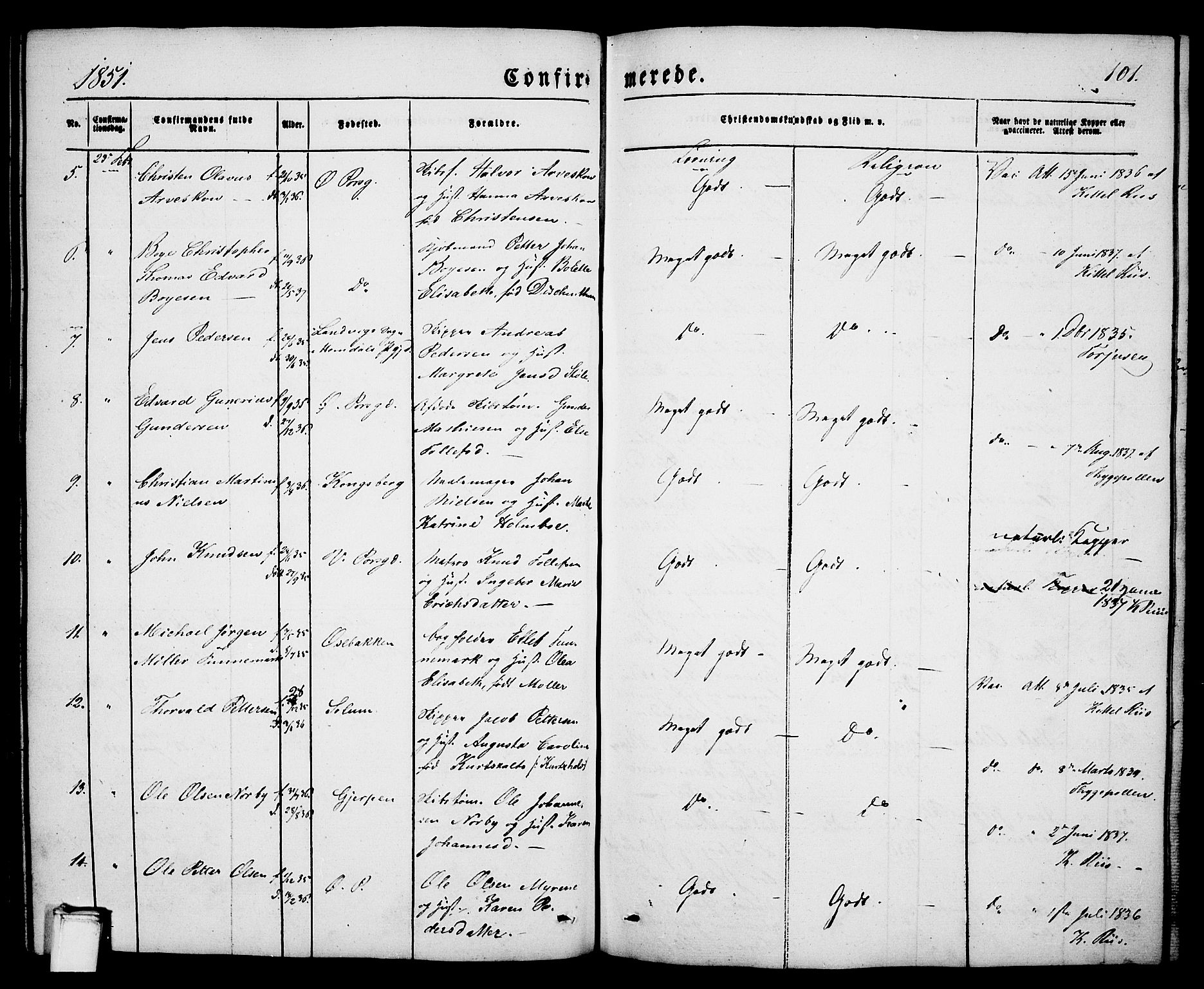 Porsgrunn kirkebøker , SAKO/A-104/G/Ga/L0002: Parish register (copy) no. I 2, 1847-1877, p. 101