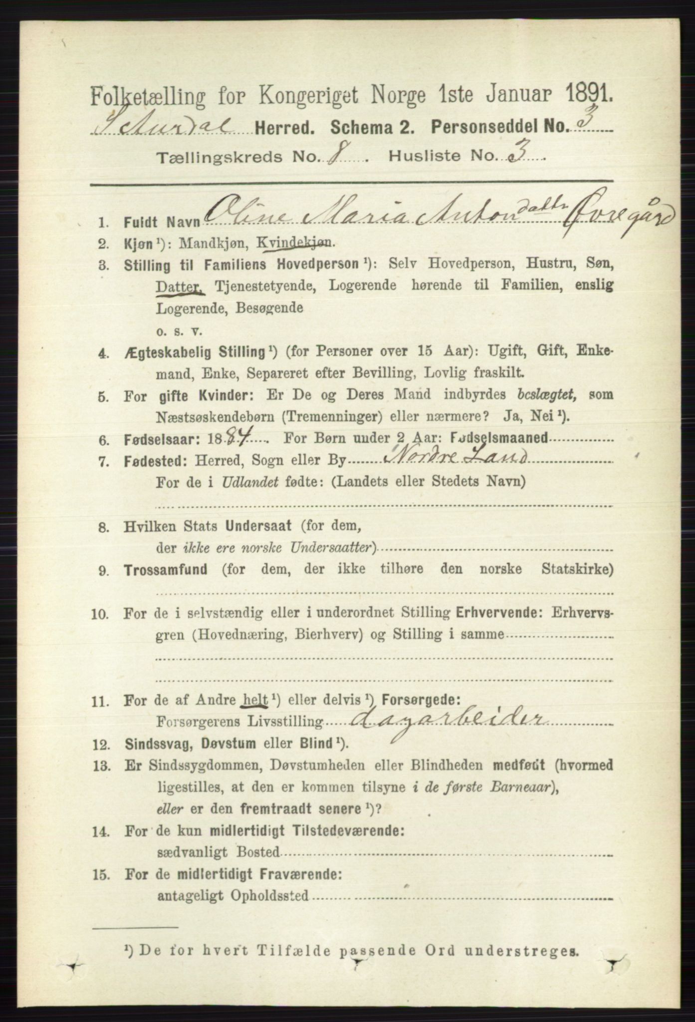 RA, 1891 census for 0540 Sør-Aurdal, 1891, p. 4875