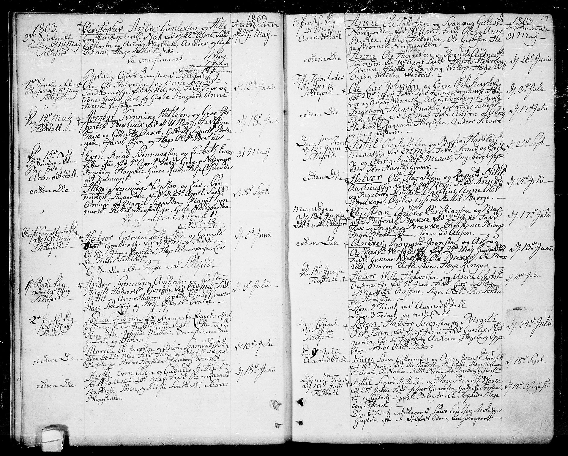 Seljord kirkebøker, SAKO/A-20/F/Fa/L0009: Parish register (official) no. I 9, 1801-1814, p. 13