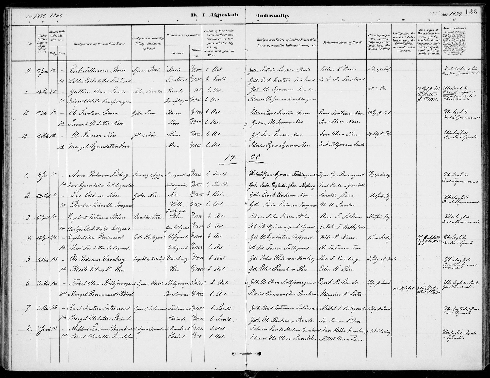 Ål kirkebøker, SAKO/A-249/F/Fa/L0009: Parish register (official) no. I 9, 1897-1915, p. 133