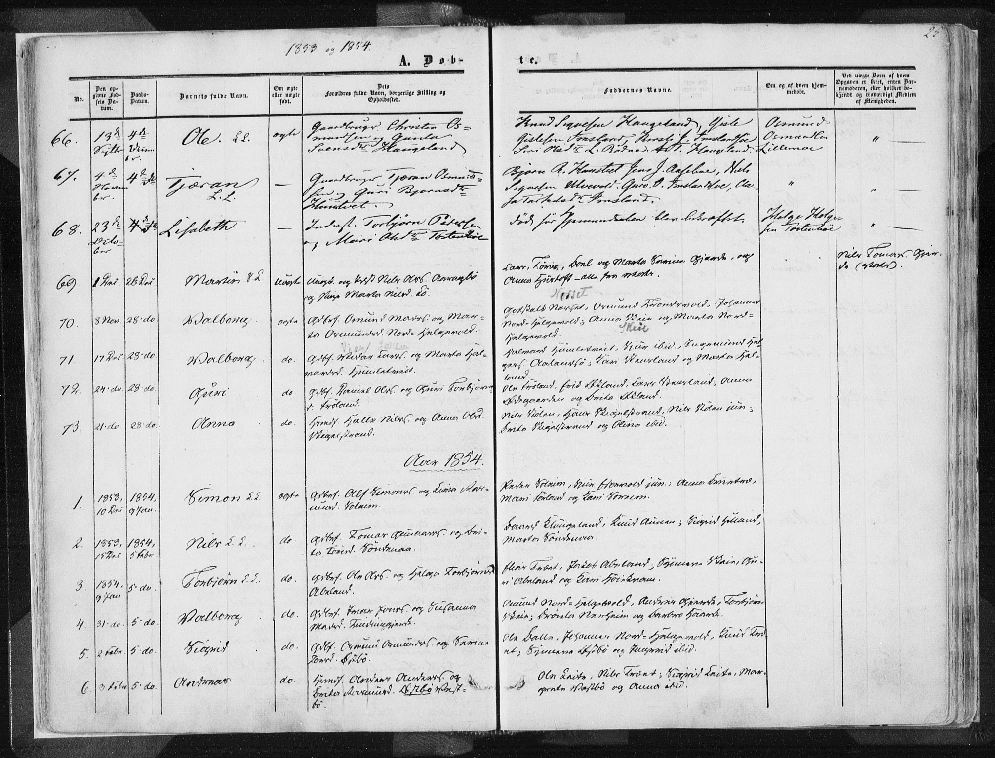 Vikedal sokneprestkontor, SAST/A-101840/01/IV: Parish register (official) no. A 6.1, 1851-1867, p. 25