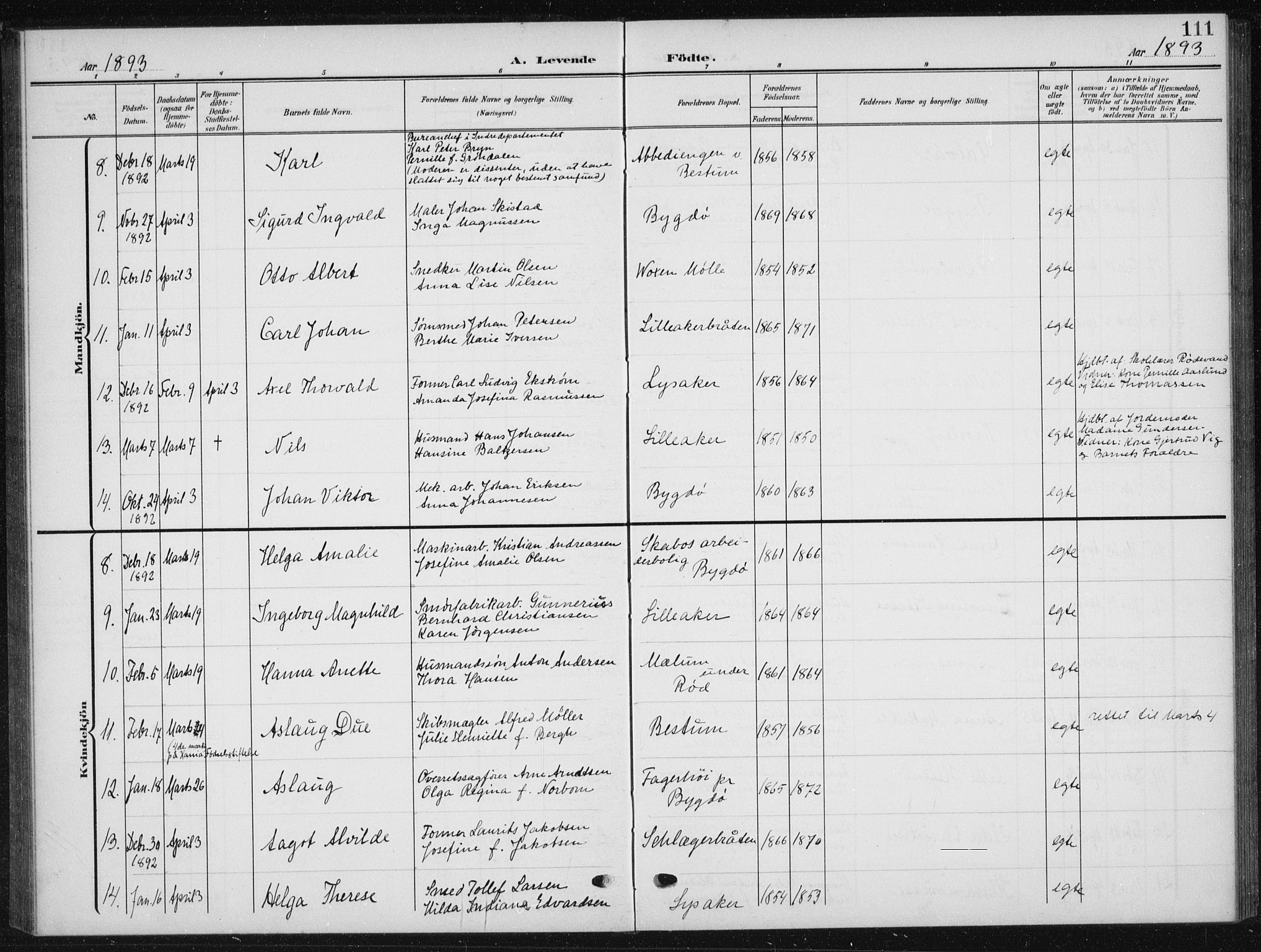 Vestre Aker prestekontor Kirkebøker, AV/SAO-A-10025/F/Fb/L0001: Parish register (official) no. II 1, 1880-1906, p. 111