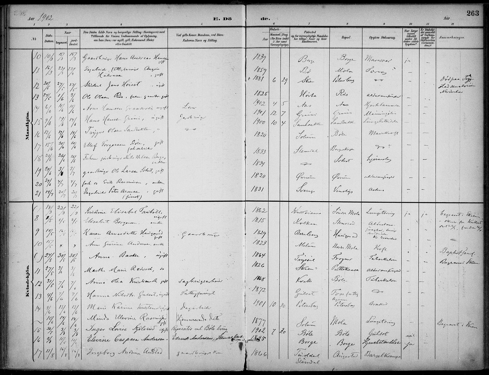 Gjerpen kirkebøker, SAKO/A-265/F/Fa/L0011: Parish register (official) no. I 11, 1896-1904, p. 263