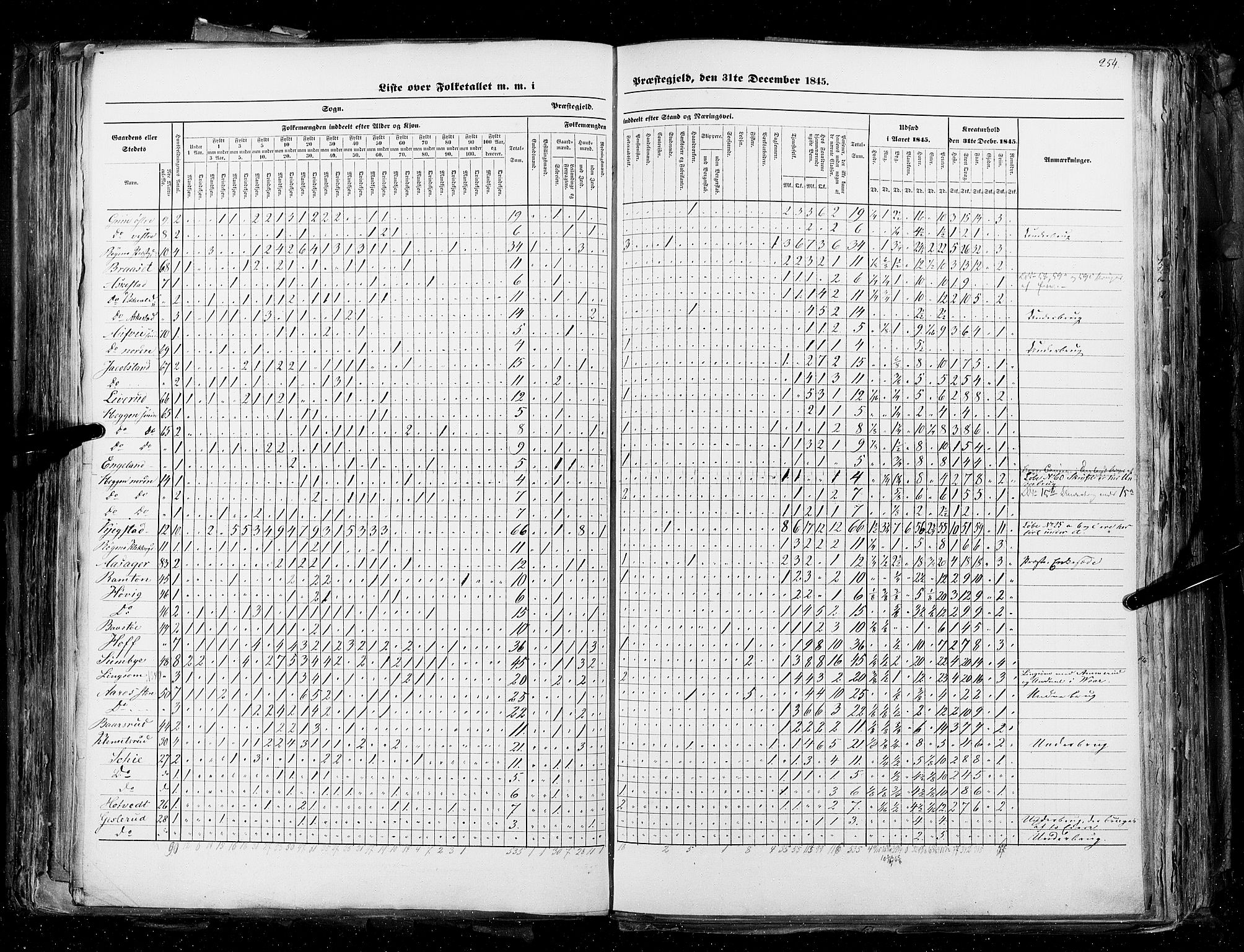 RA, Census 1845, vol. 4: Buskerud amt og Jarlsberg og Larvik amt, 1845, p. 254