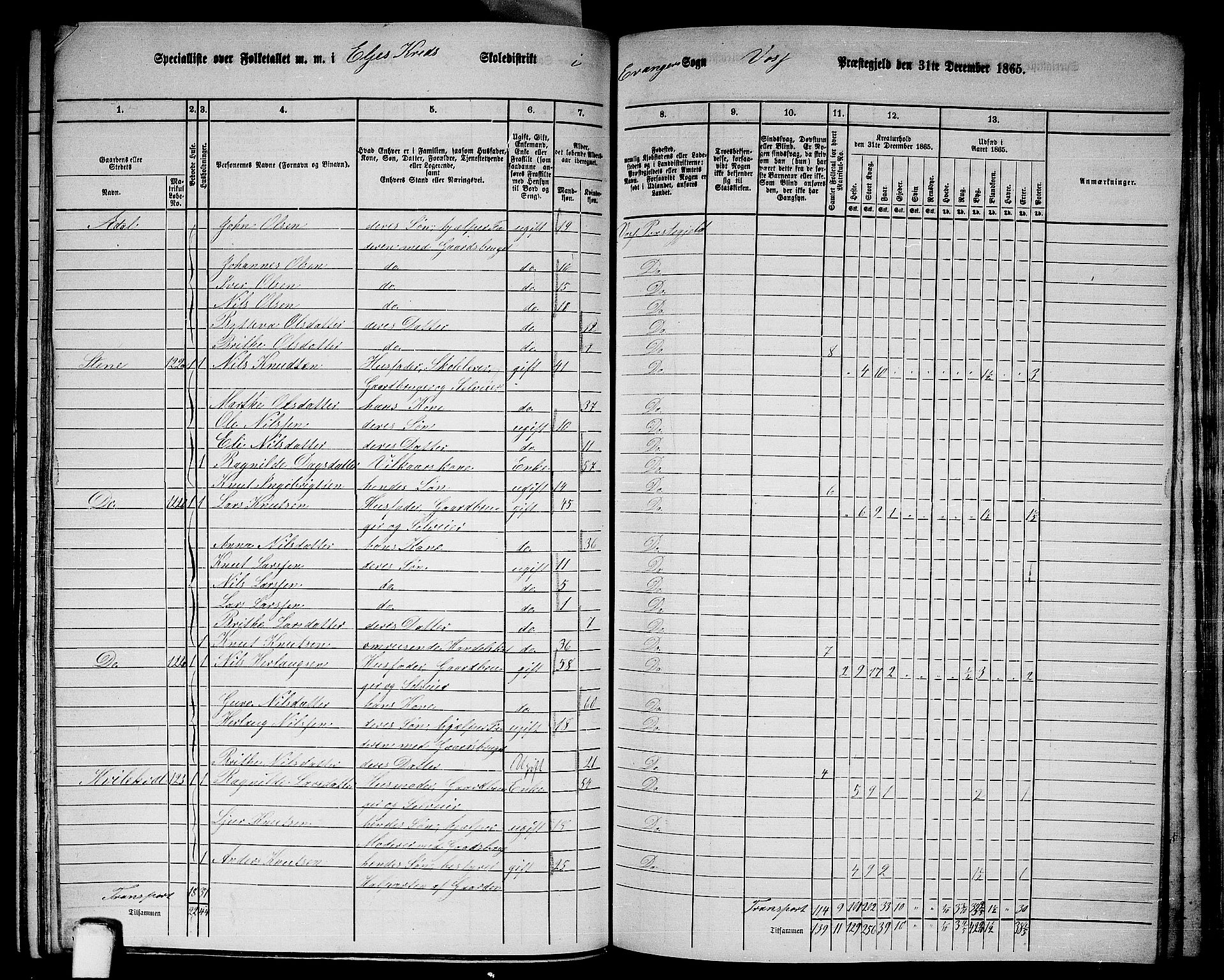 RA, 1865 census for Voss, 1865, p. 373