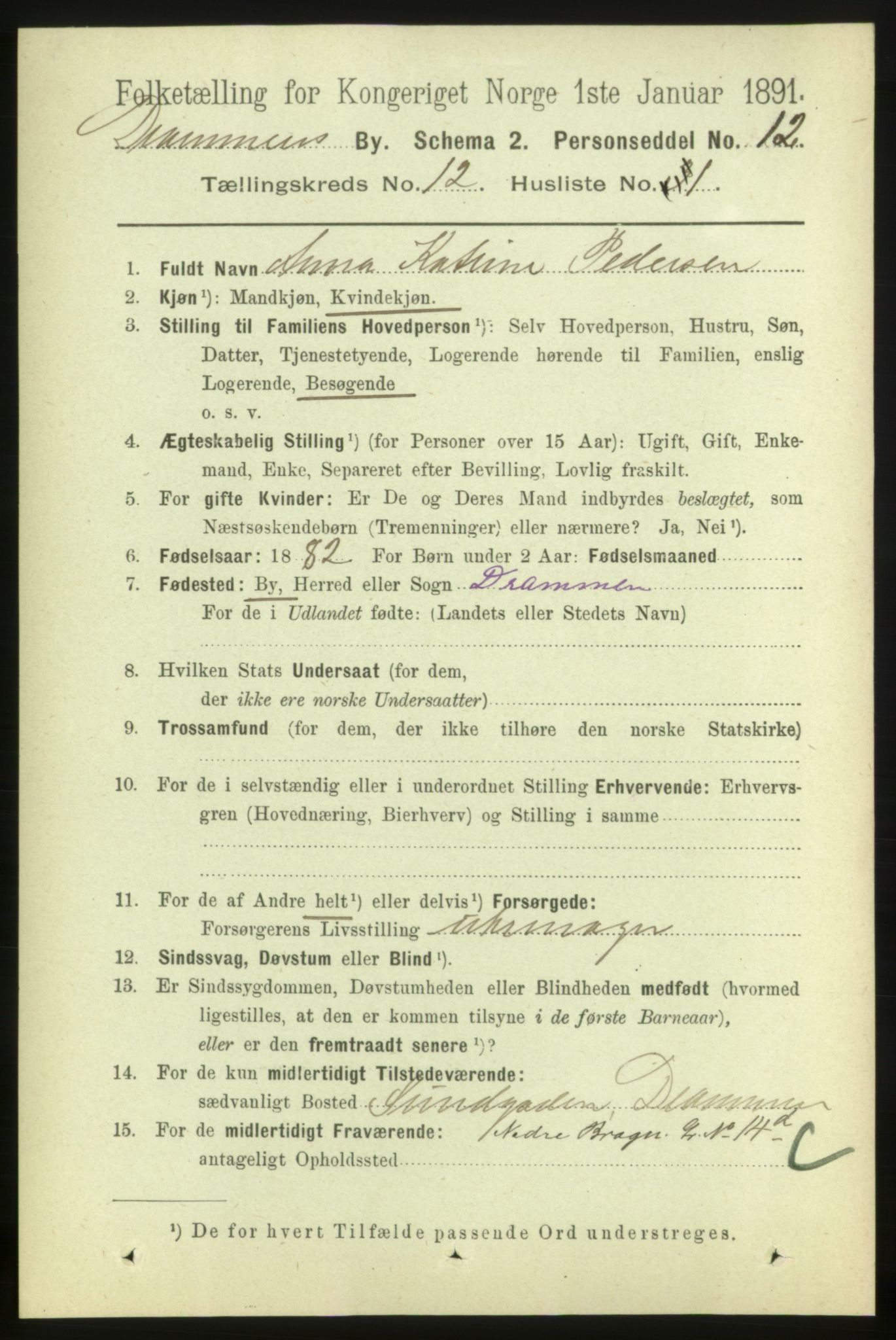 RA, 1891 census for 0602 Drammen, 1891, p. 8971