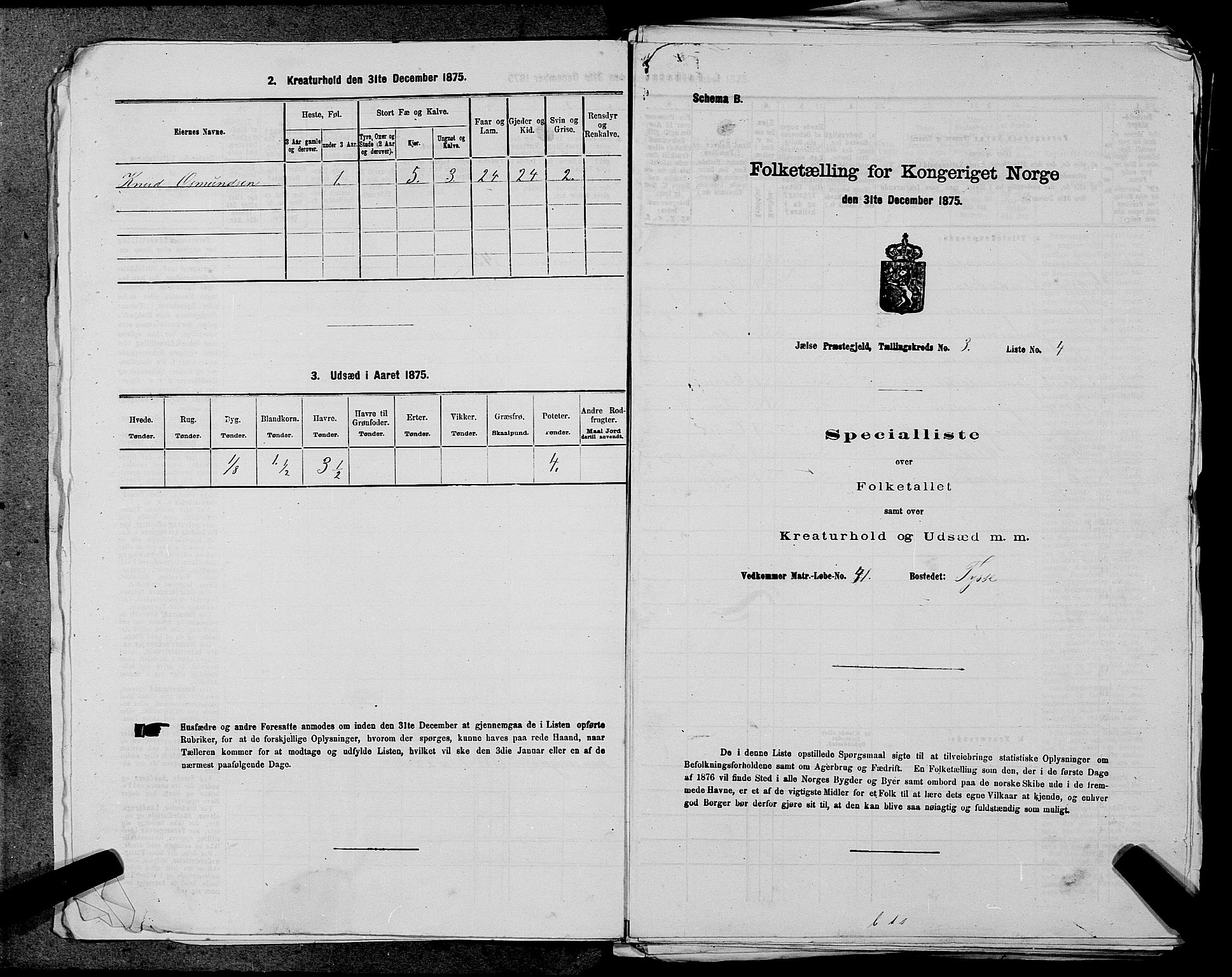 SAST, 1875 census for 1138P Jelsa, 1875, p. 191