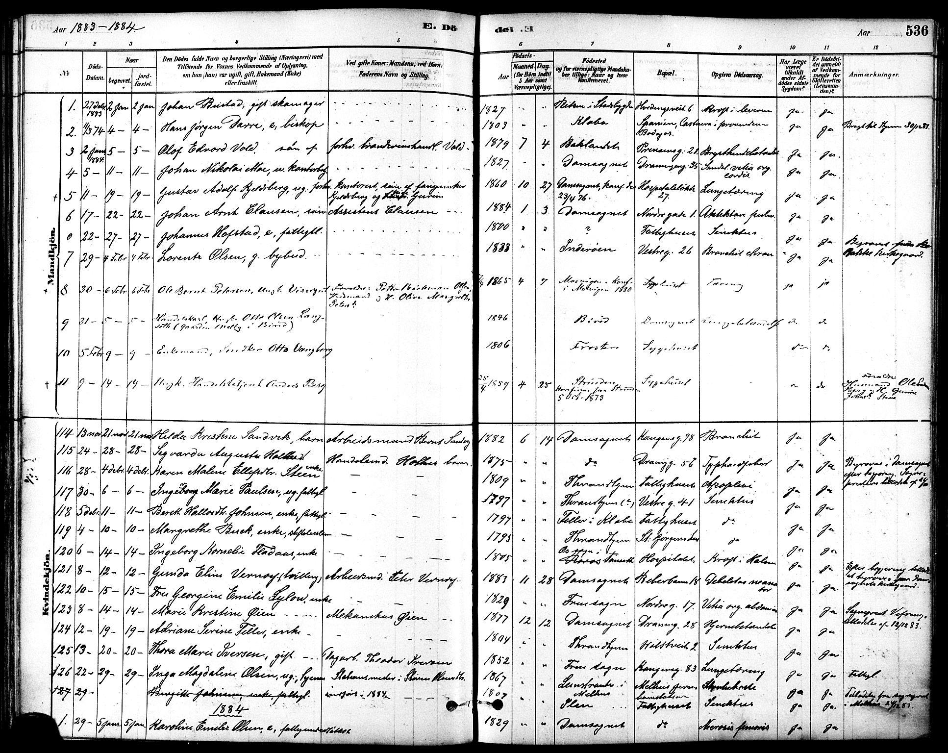 Ministerialprotokoller, klokkerbøker og fødselsregistre - Sør-Trøndelag, SAT/A-1456/601/L0058: Parish register (official) no. 601A26, 1877-1891, p. 536