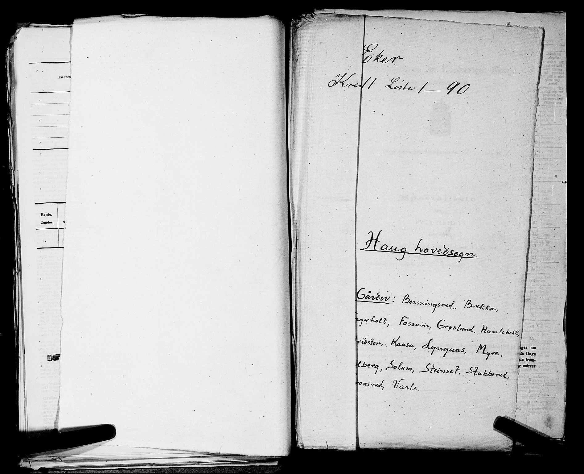 SAKO, 1875 census for 0624P Eiker, 1875, p. 1718