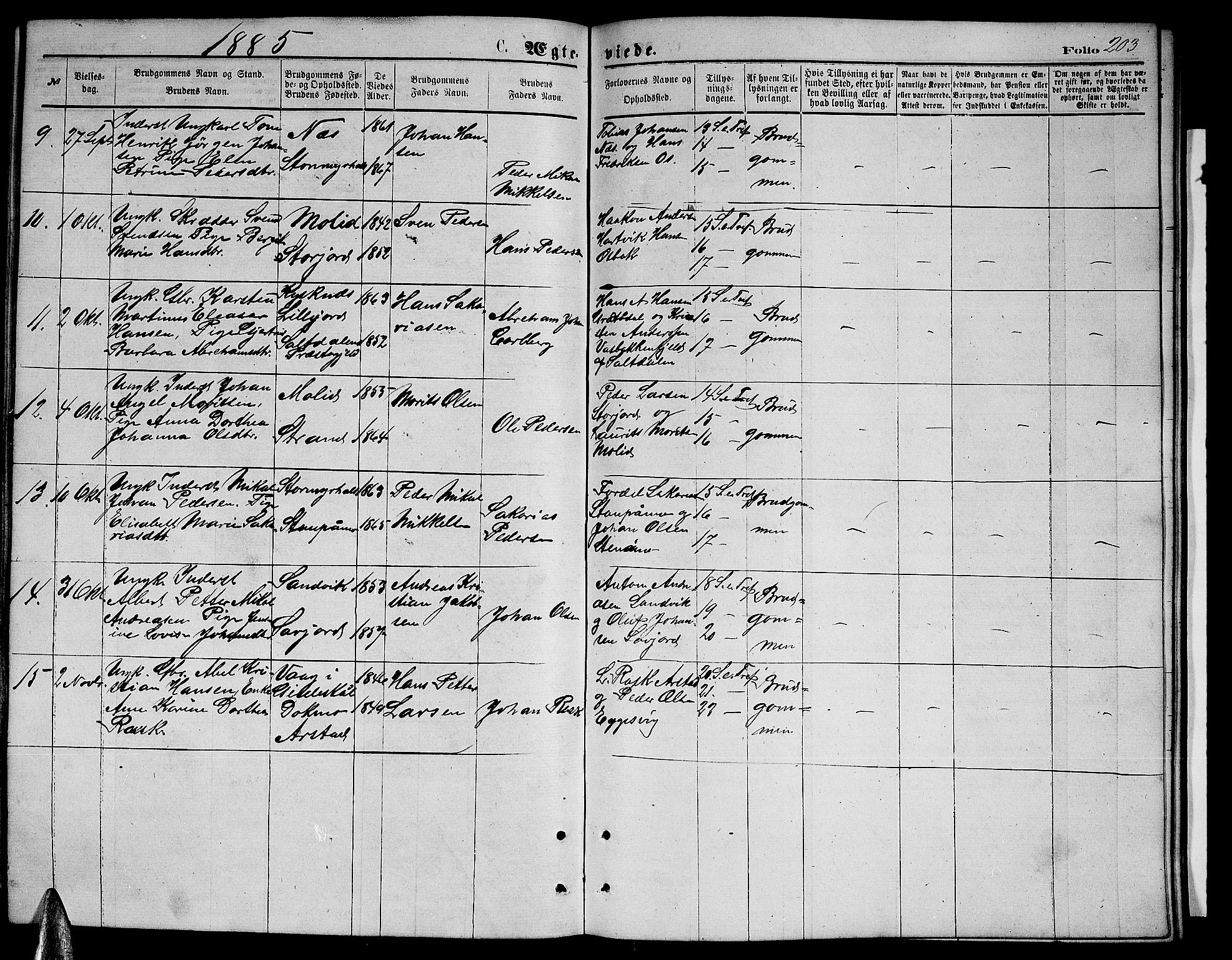 Ministerialprotokoller, klokkerbøker og fødselsregistre - Nordland, SAT/A-1459/846/L0653: Parish register (copy) no. 846C03, 1872-1887, p. 203