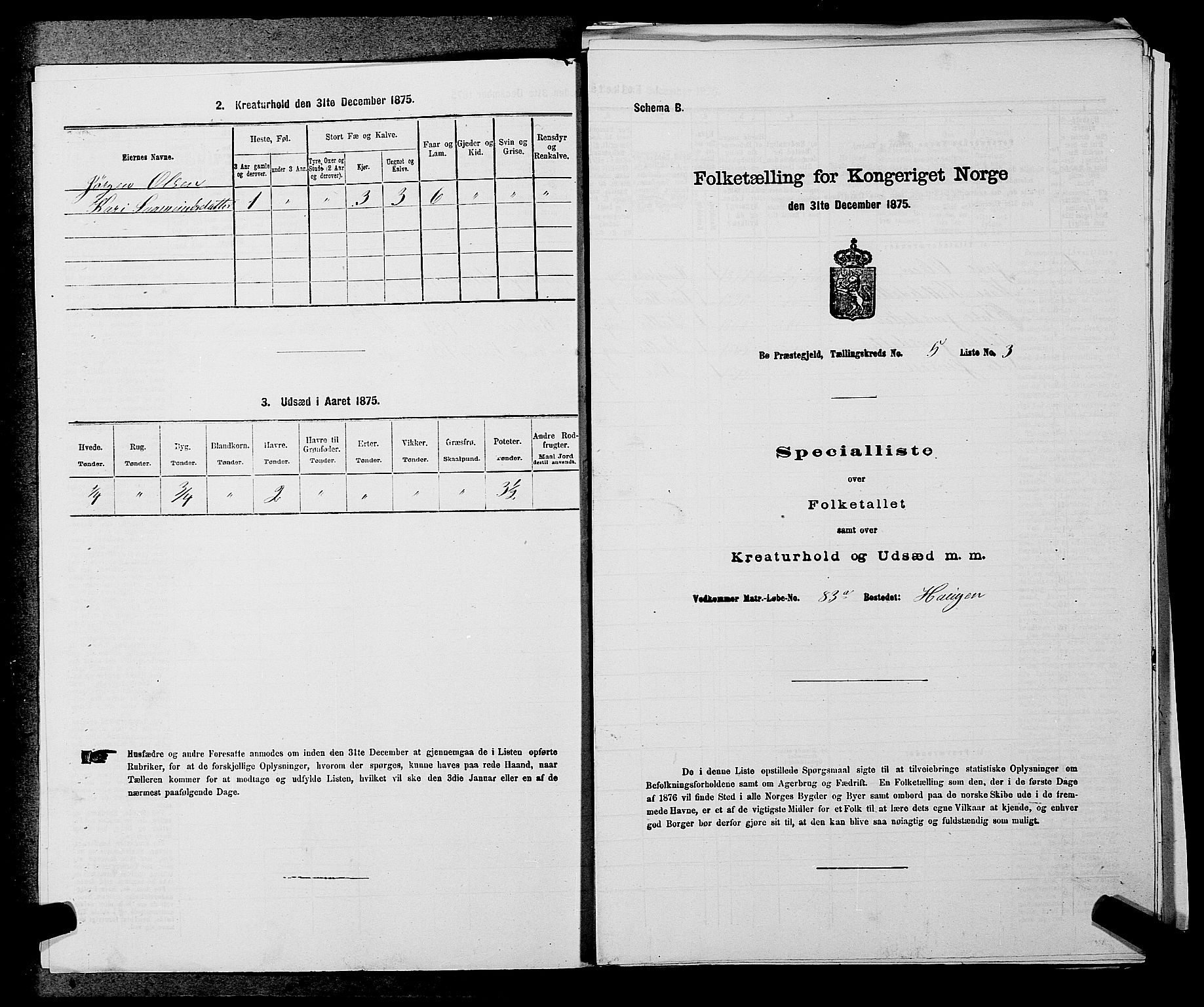 SAKO, 1875 census for 0821P Bø, 1875, p. 602