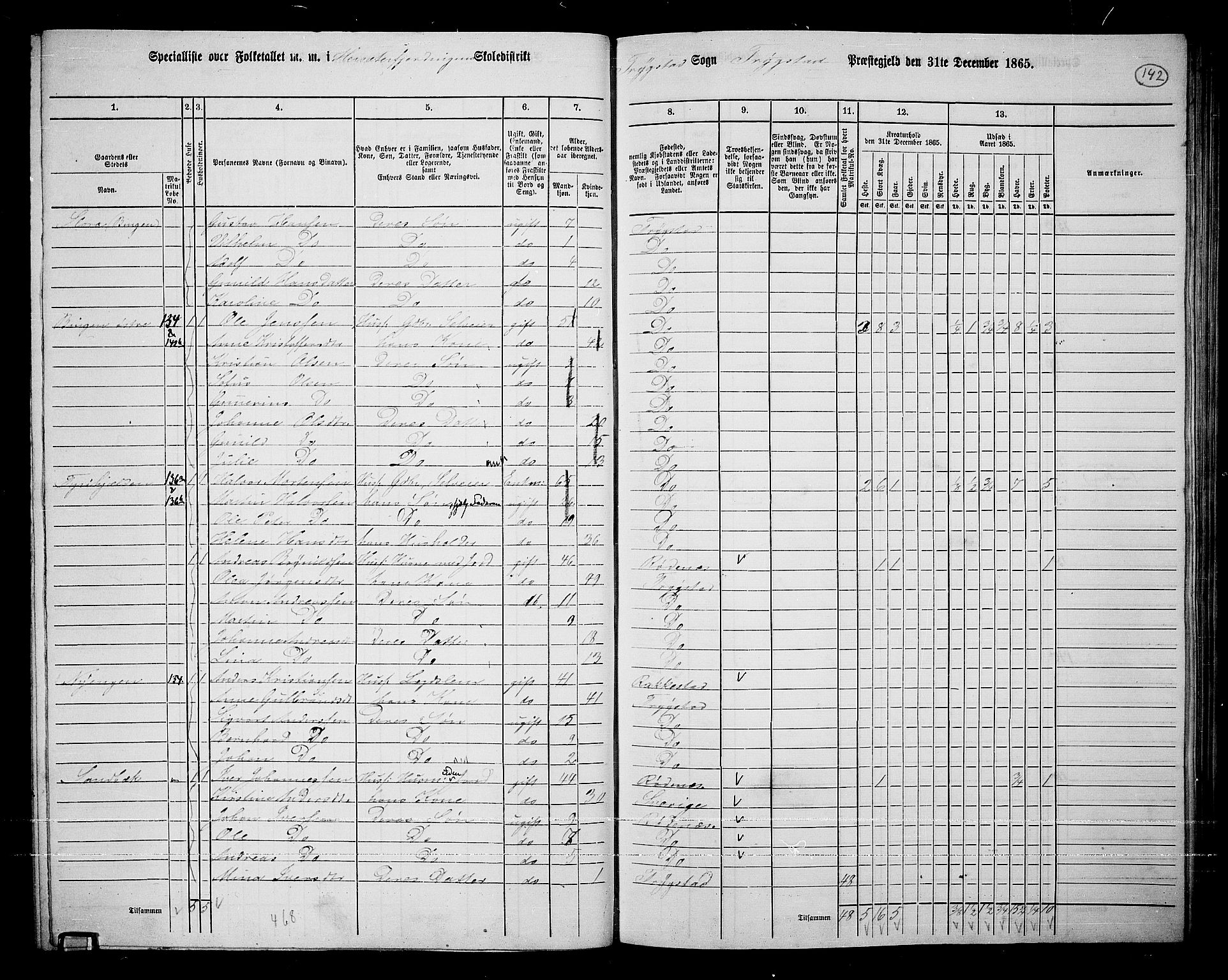 RA, 1865 census for Trøgstad, 1865, p. 126