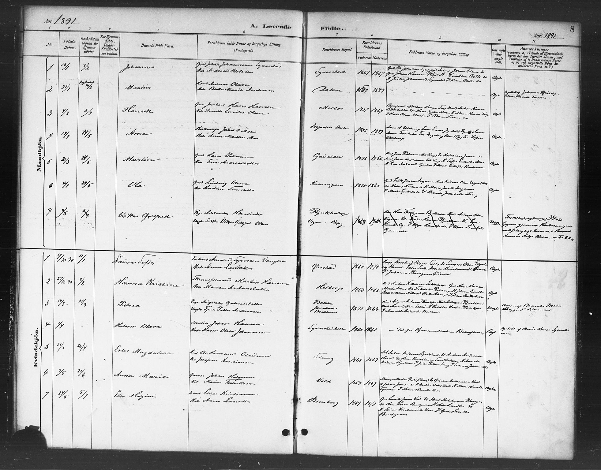 Skjeberg prestekontor Kirkebøker, AV/SAO-A-10923/F/Fc/L0001: Parish register (official) no. III 1, 1886-1897, p. 8