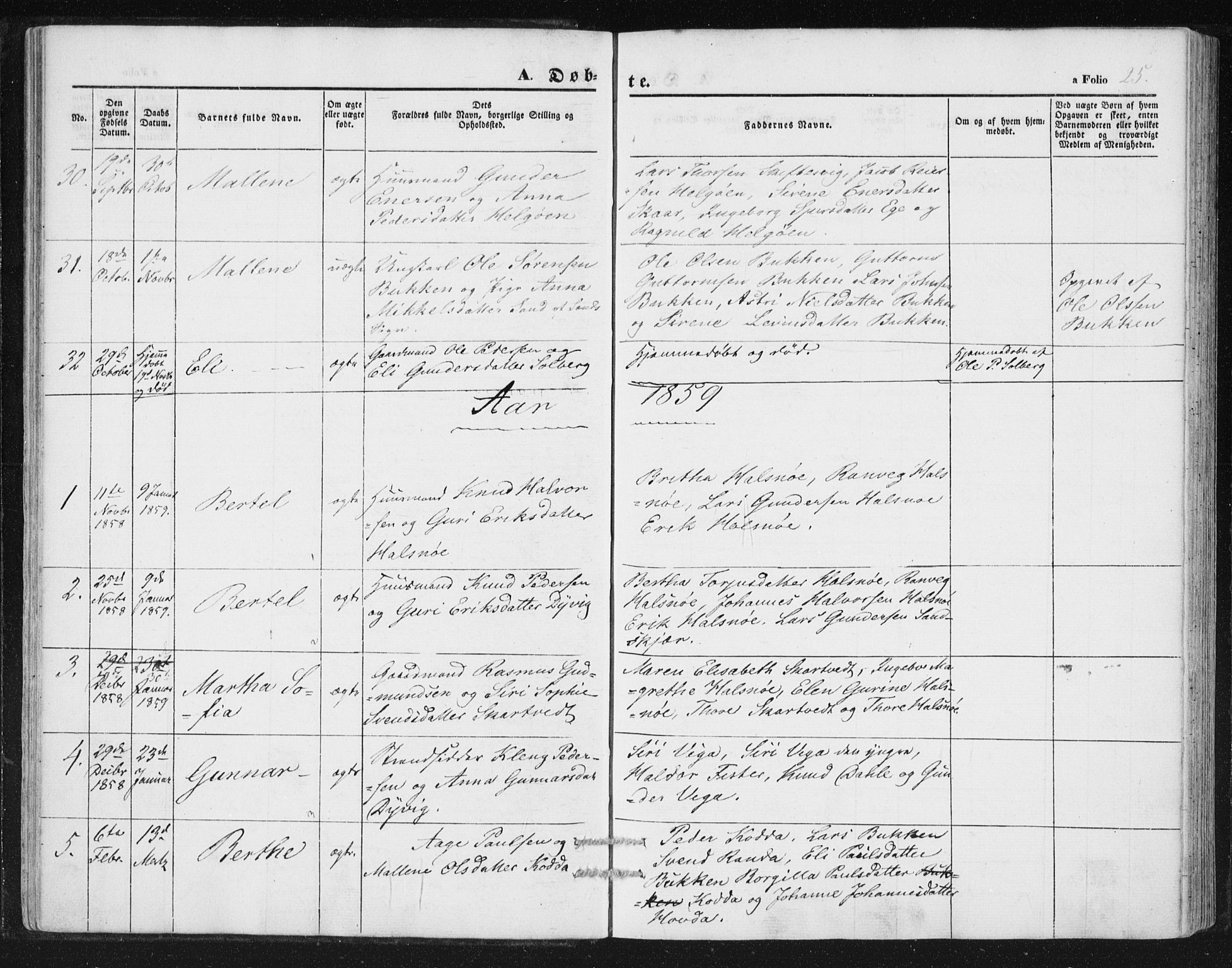Hjelmeland sokneprestkontor, SAST/A-101843/01/IV/L0010: Parish register (official) no. A 10, 1851-1871, p. 25