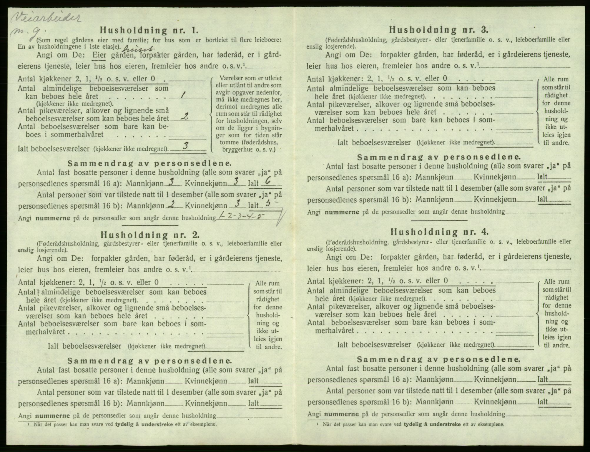 SAB, 1920 census for Eidfjord, 1920, p. 41