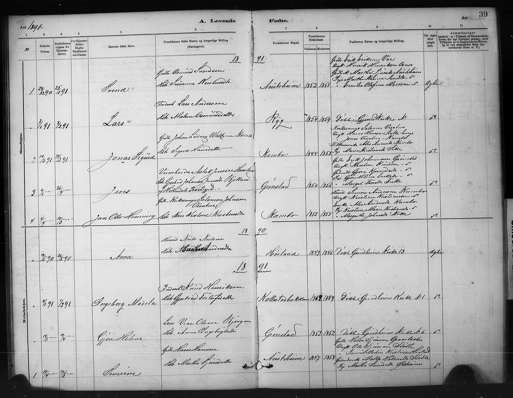 Etne sokneprestembete, SAB/A-75001/H/Hab: Parish register (copy) no. A 5, 1879-1896, p. 39