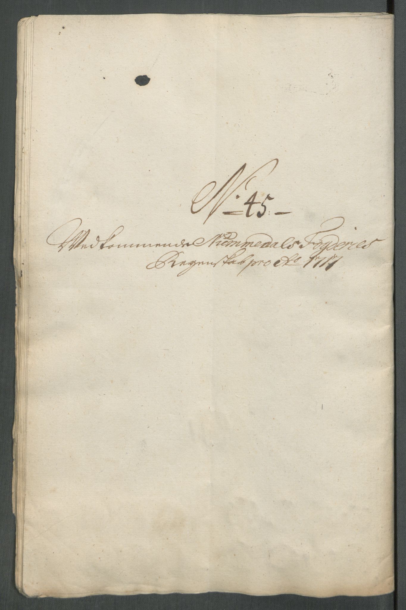 Rentekammeret inntil 1814, Reviderte regnskaper, Fogderegnskap, AV/RA-EA-4092/R64/L4438: Fogderegnskap Namdal, 1717, p. 276