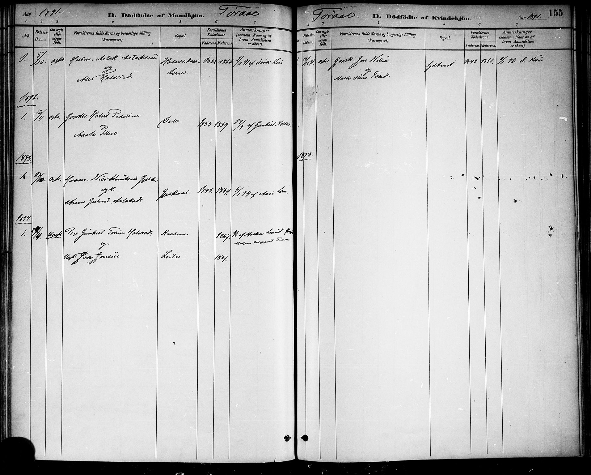 Drangedal kirkebøker, SAKO/A-258/F/Fa/L0010: Parish register (official) no. 10 /2, 1885-1894, p. 155