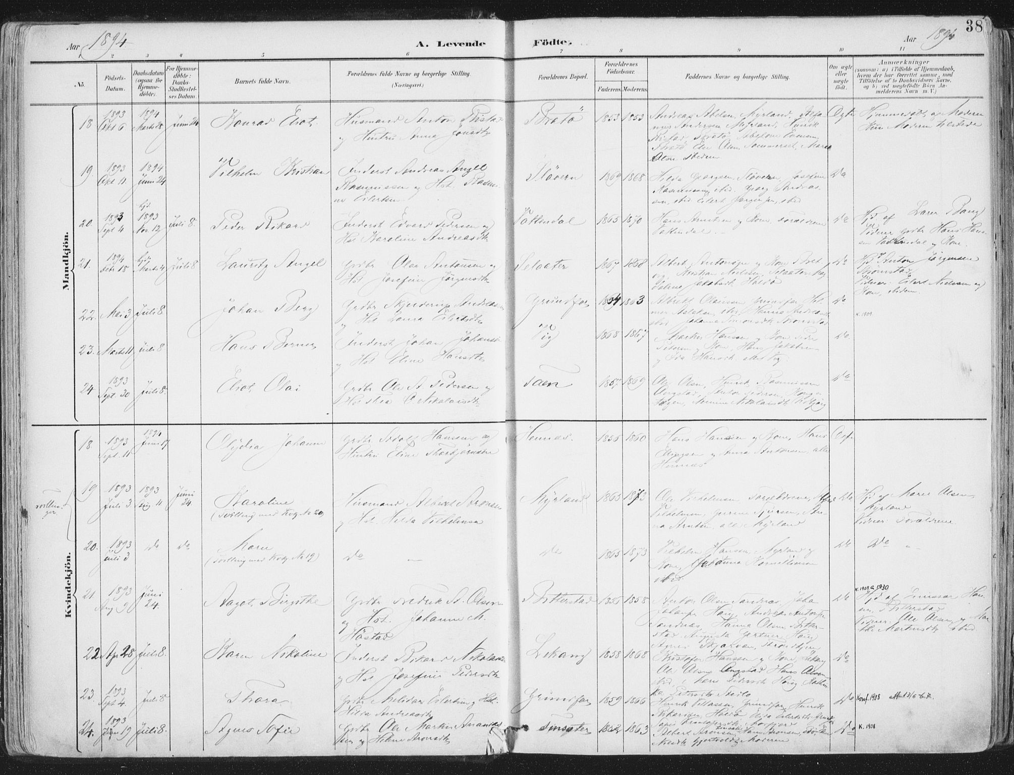 Ministerialprotokoller, klokkerbøker og fødselsregistre - Nordland, SAT/A-1459/888/L1246: Parish register (official) no. 888A12, 1891-1903, p. 38