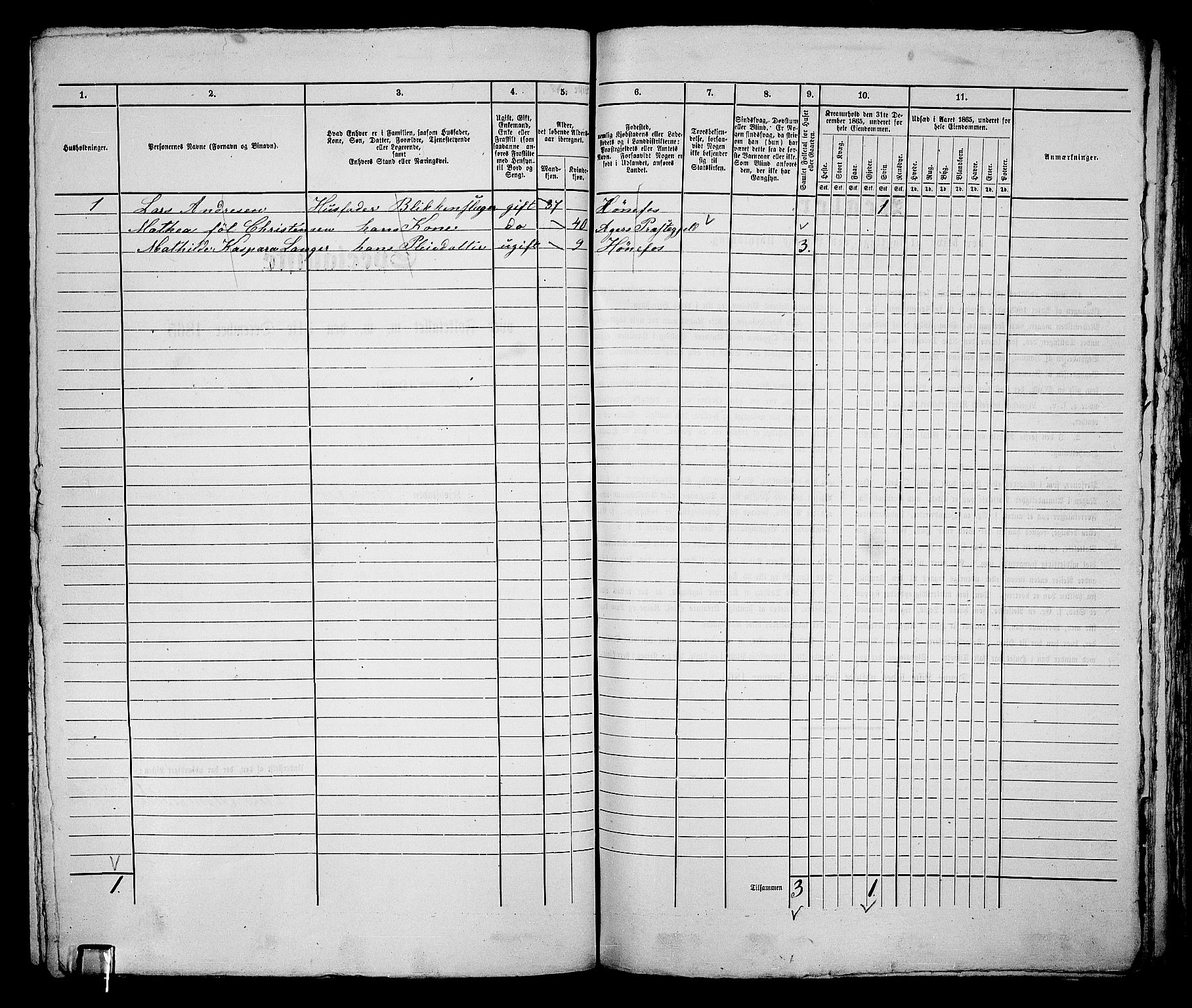 RA, 1865 census for Norderhov/Hønefoss, 1865, p. 233