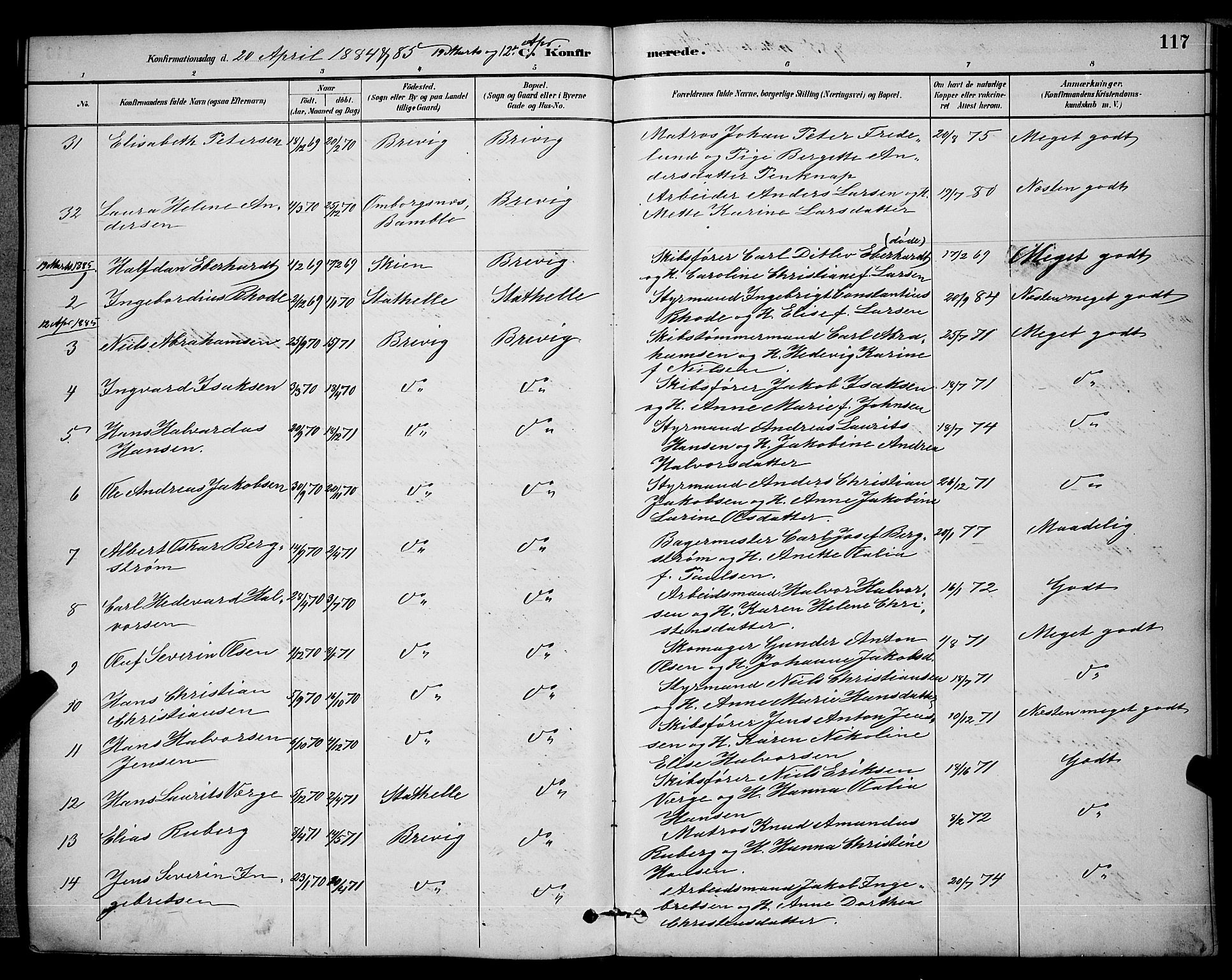 Brevik kirkebøker, AV/SAKO-A-255/G/Ga/L0004: Parish register (copy) no. 4, 1882-1900, p. 117