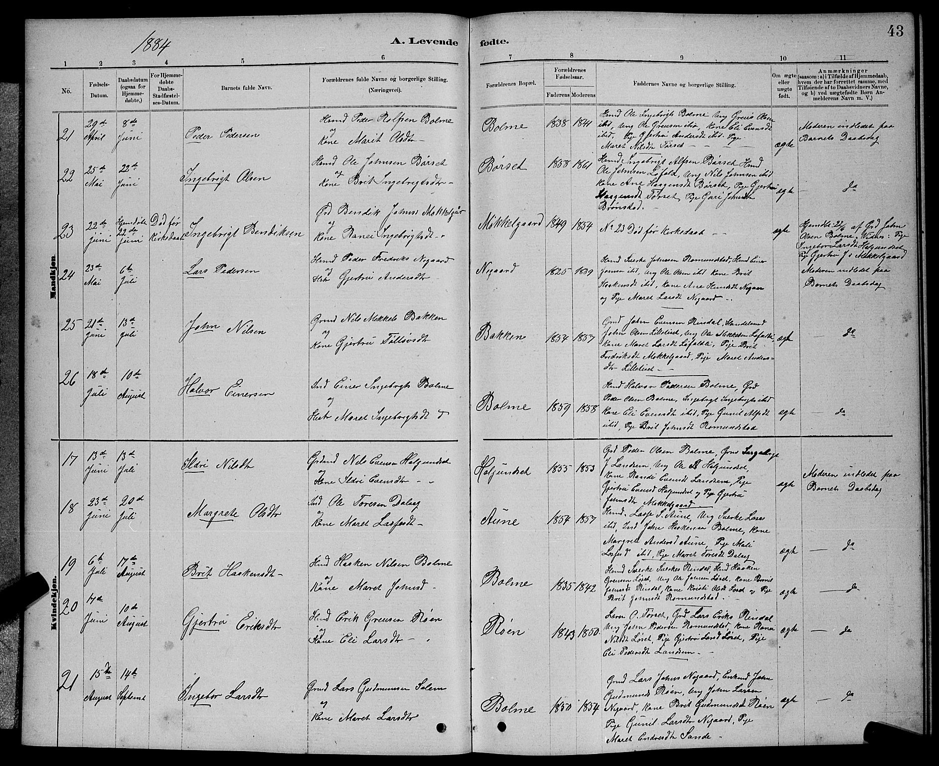 Ministerialprotokoller, klokkerbøker og fødselsregistre - Møre og Romsdal, AV/SAT-A-1454/598/L1077: Parish register (copy) no. 598C02, 1879-1891, p. 43