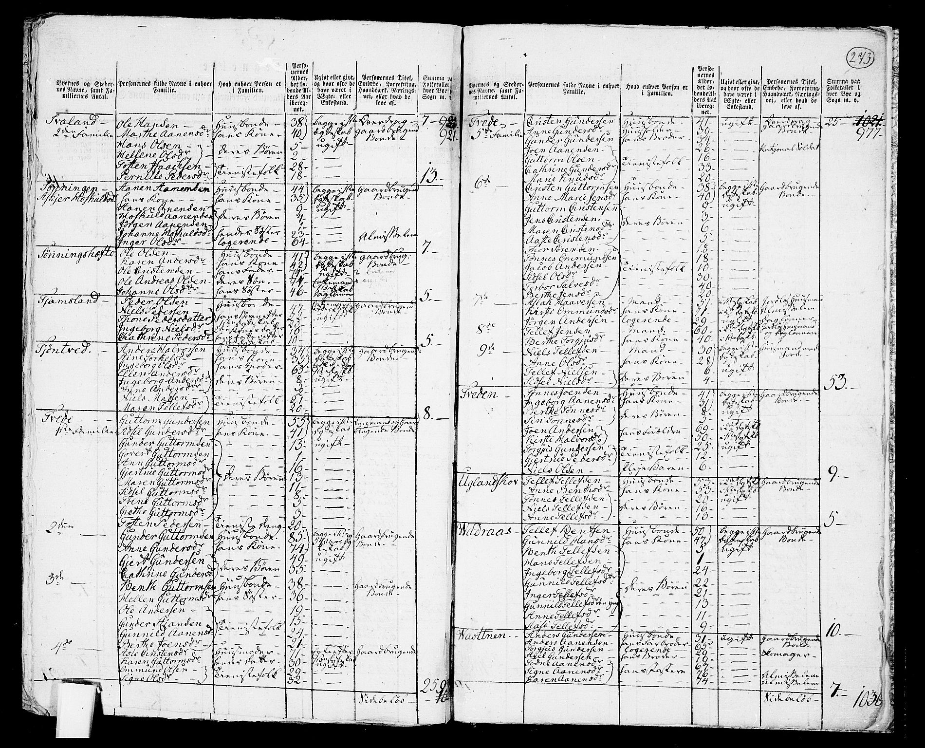 RA, 1801 census for 1013P Tveit, 1801, p. 272b-273a